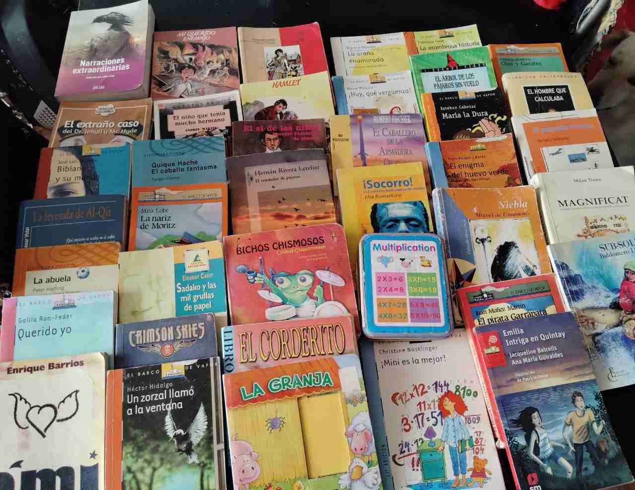 Lote de libros variados para niños