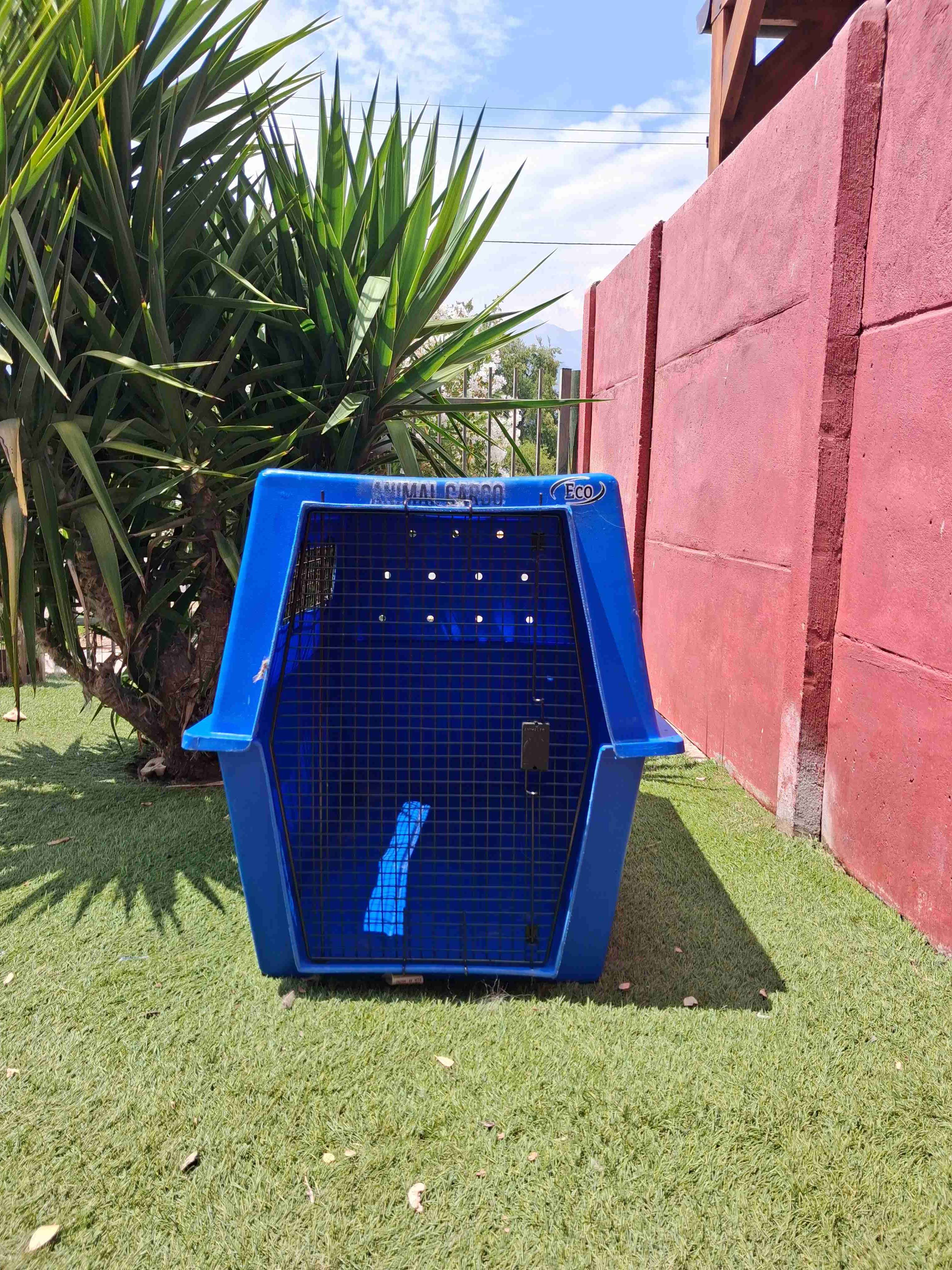 Jaula de transporte azul para mascotas XXL - 1