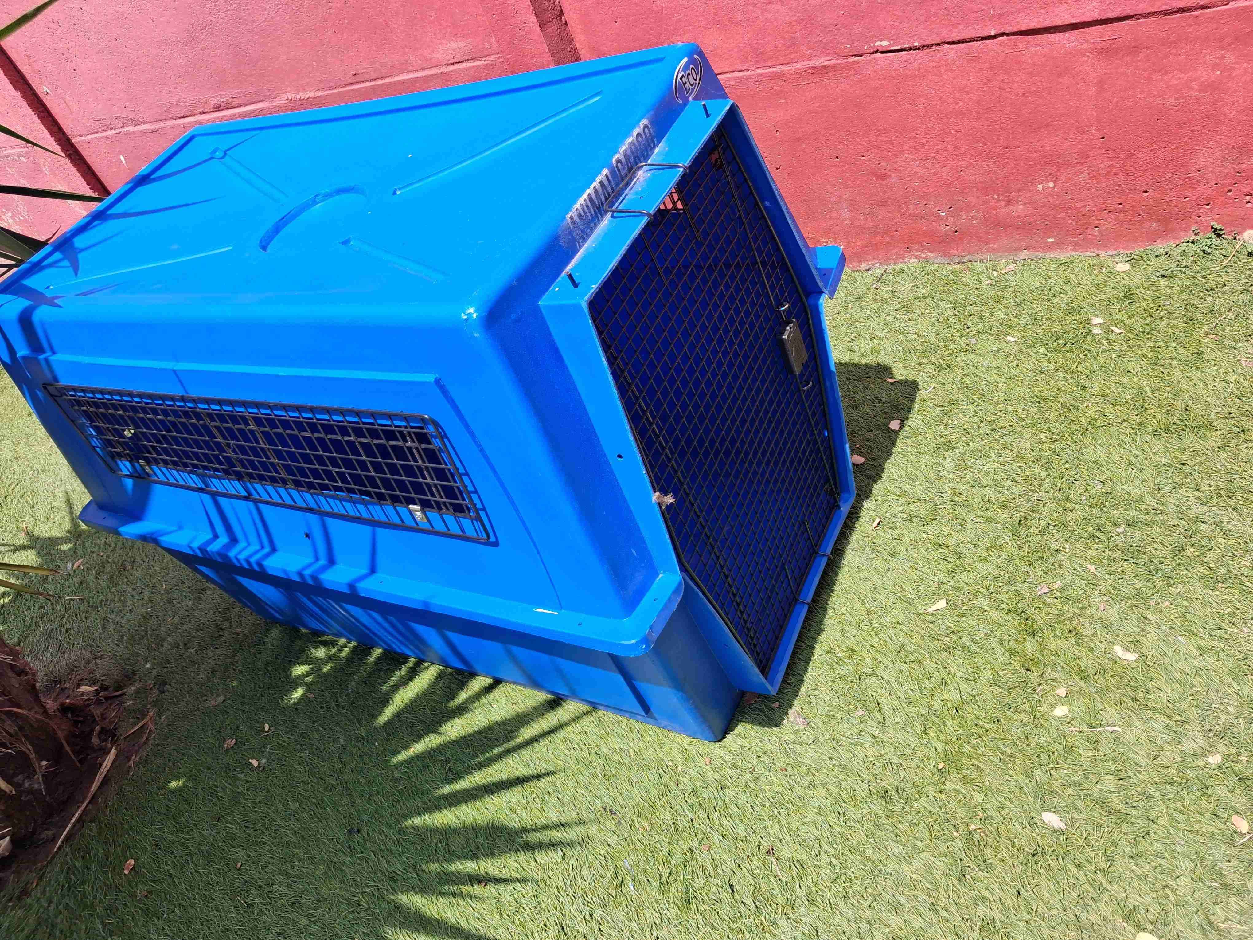 Jaula de transporte azul para mascotas XXL - 2