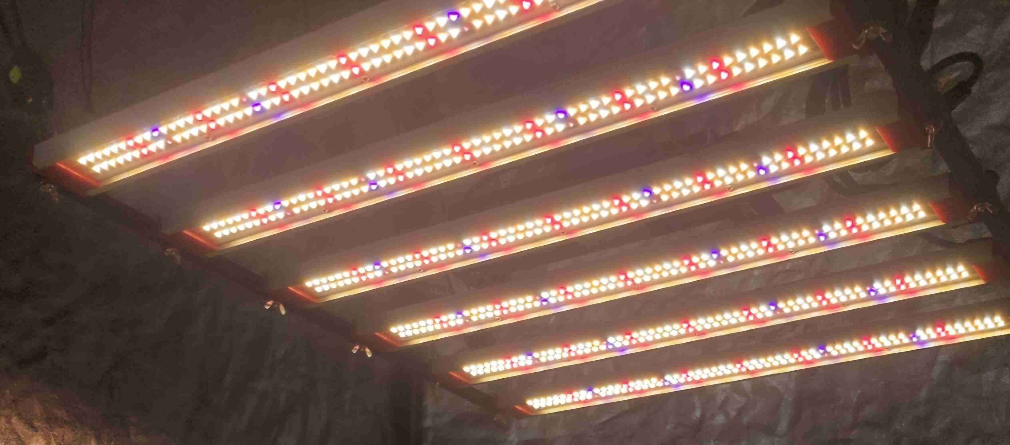 Panel LED de cultivo SAMSUNG - miniatura 4