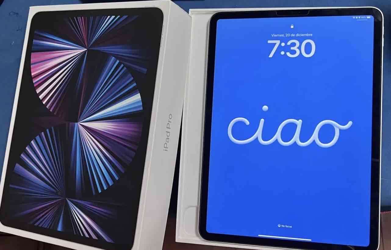 Apple iPad Pro 11 (wi-fi / 256 Gb) [mhqv3ci/a] + L - miniatura 1