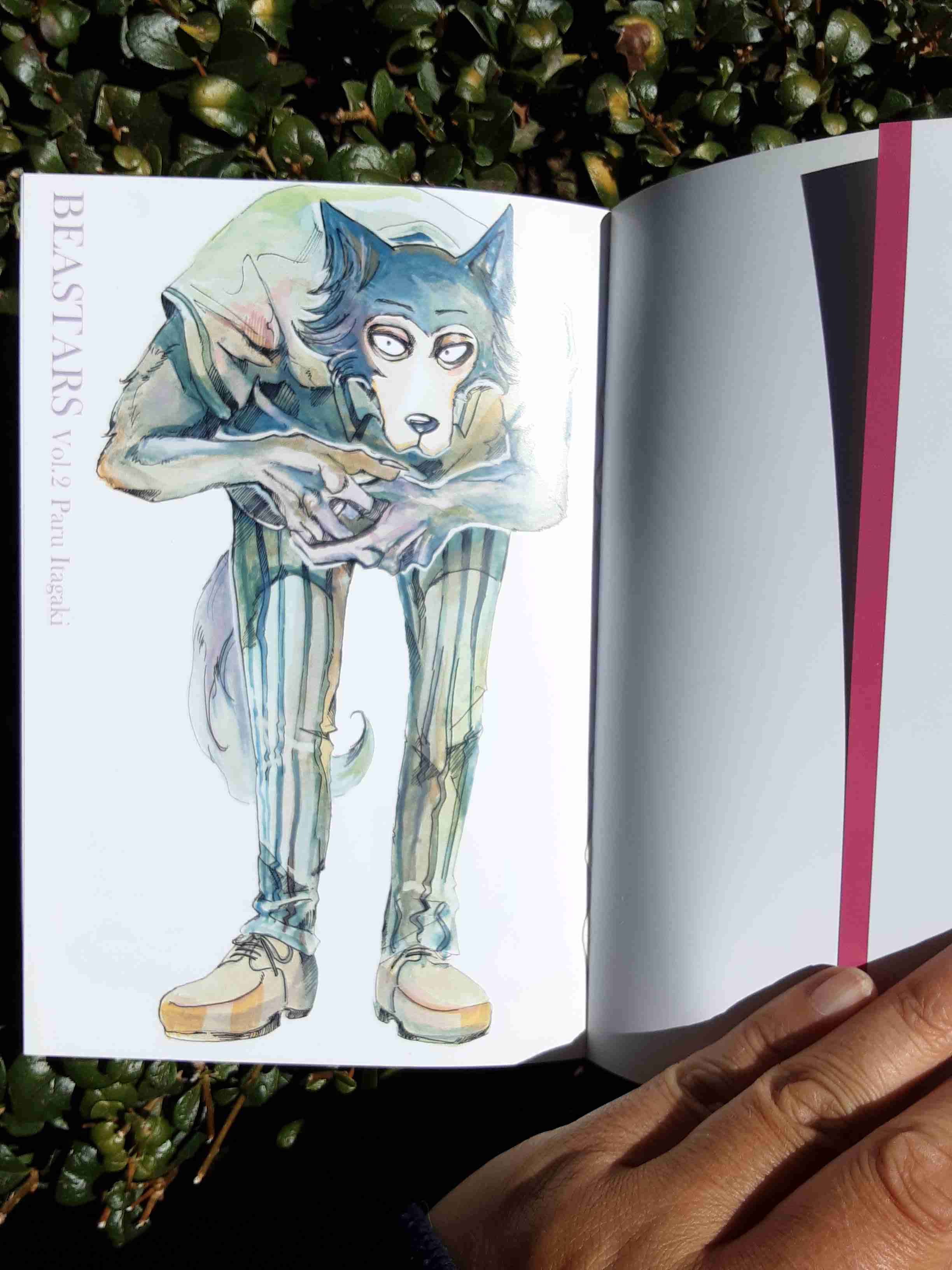 Manga Beastars Vol. 2 - 5
