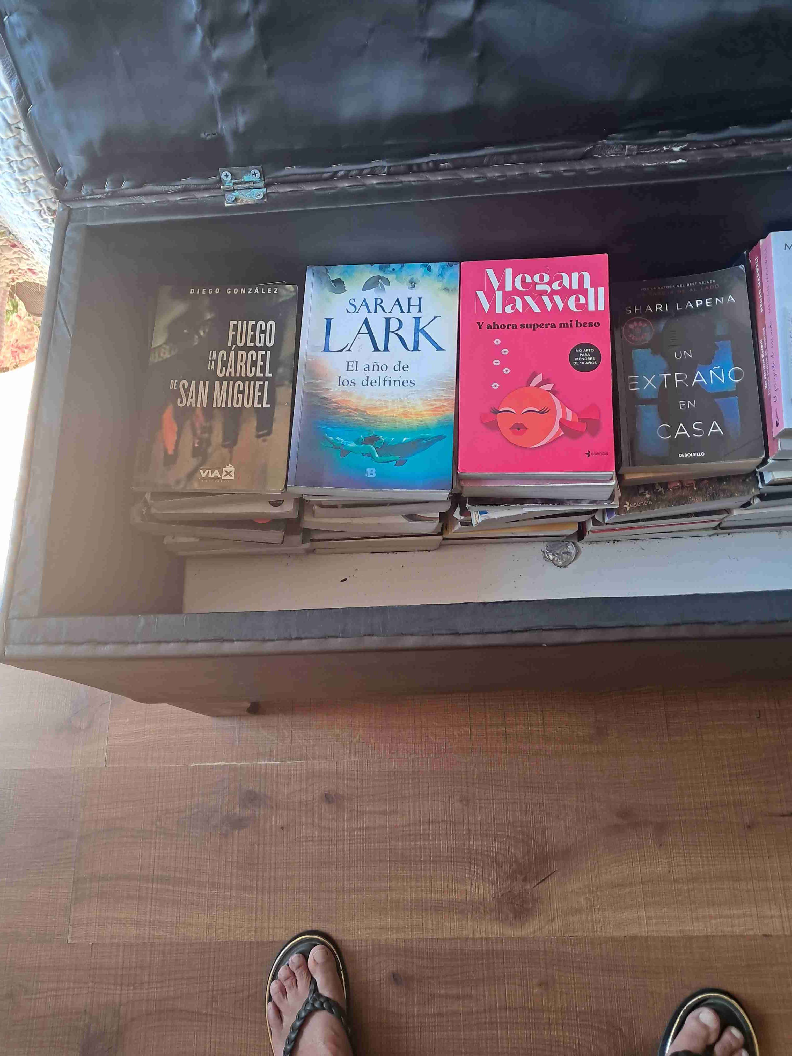 Lote de libros variados - miniatura 2