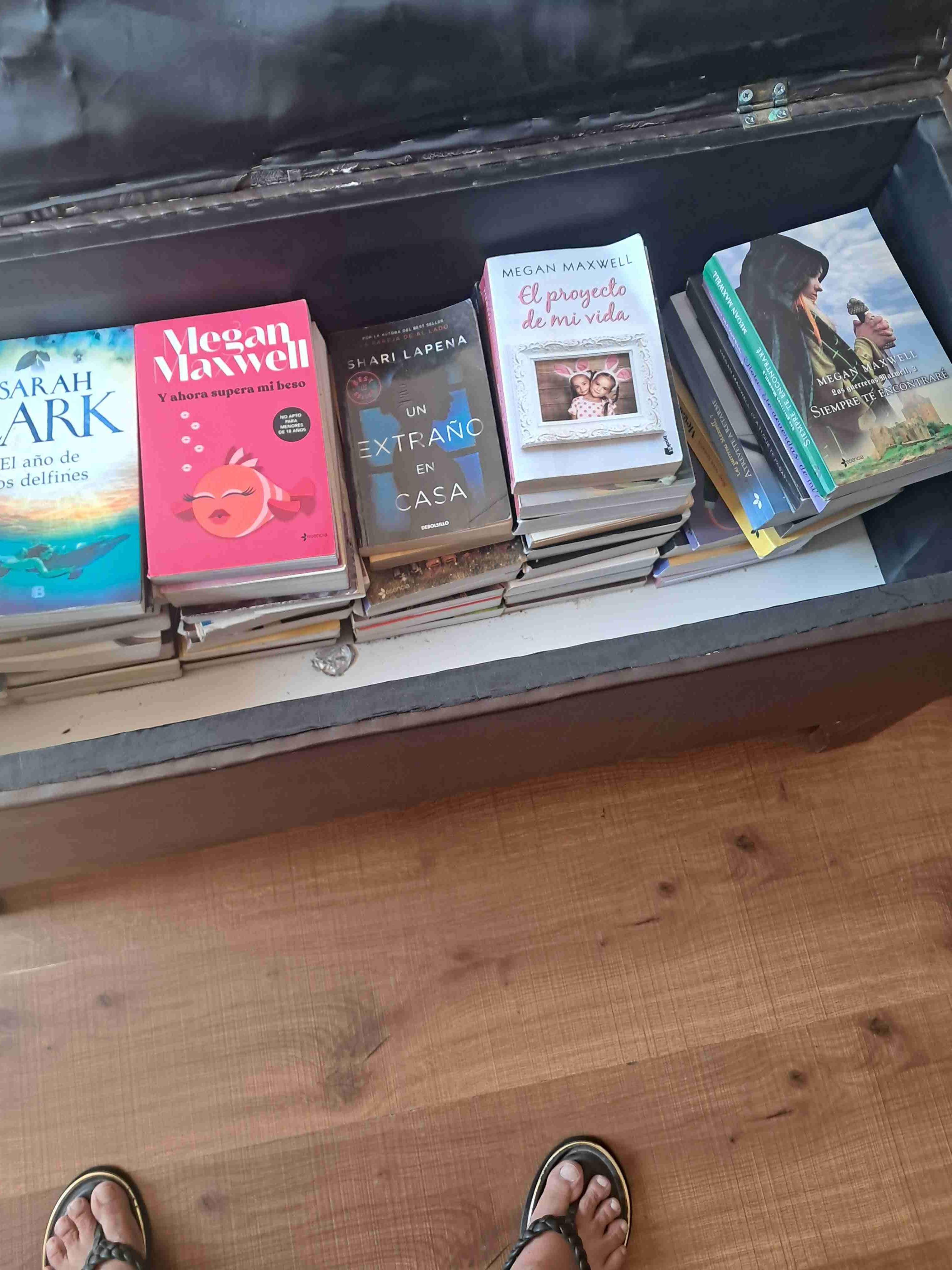 Lote de libros variados - miniatura 3