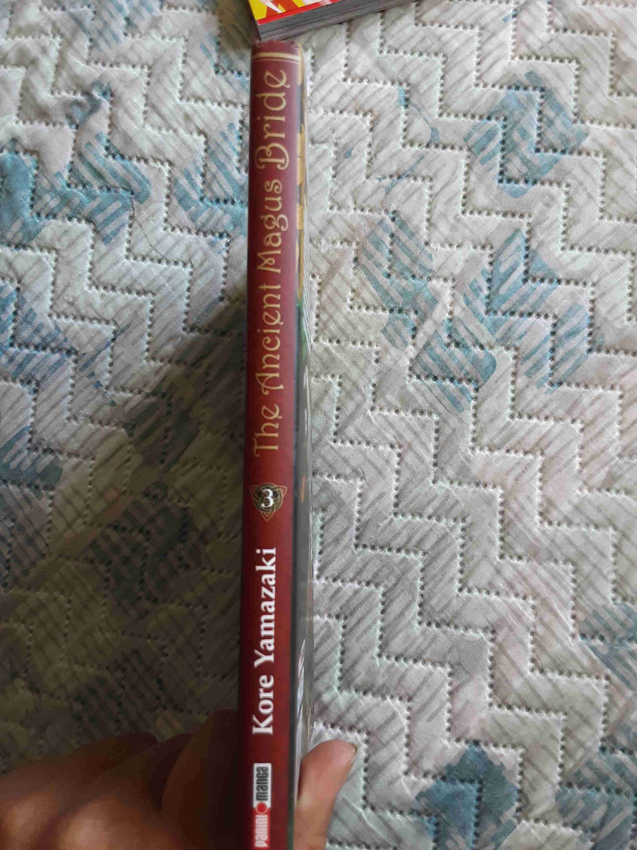 Manga 'The Ancient Magus Bride' - miniatura 3