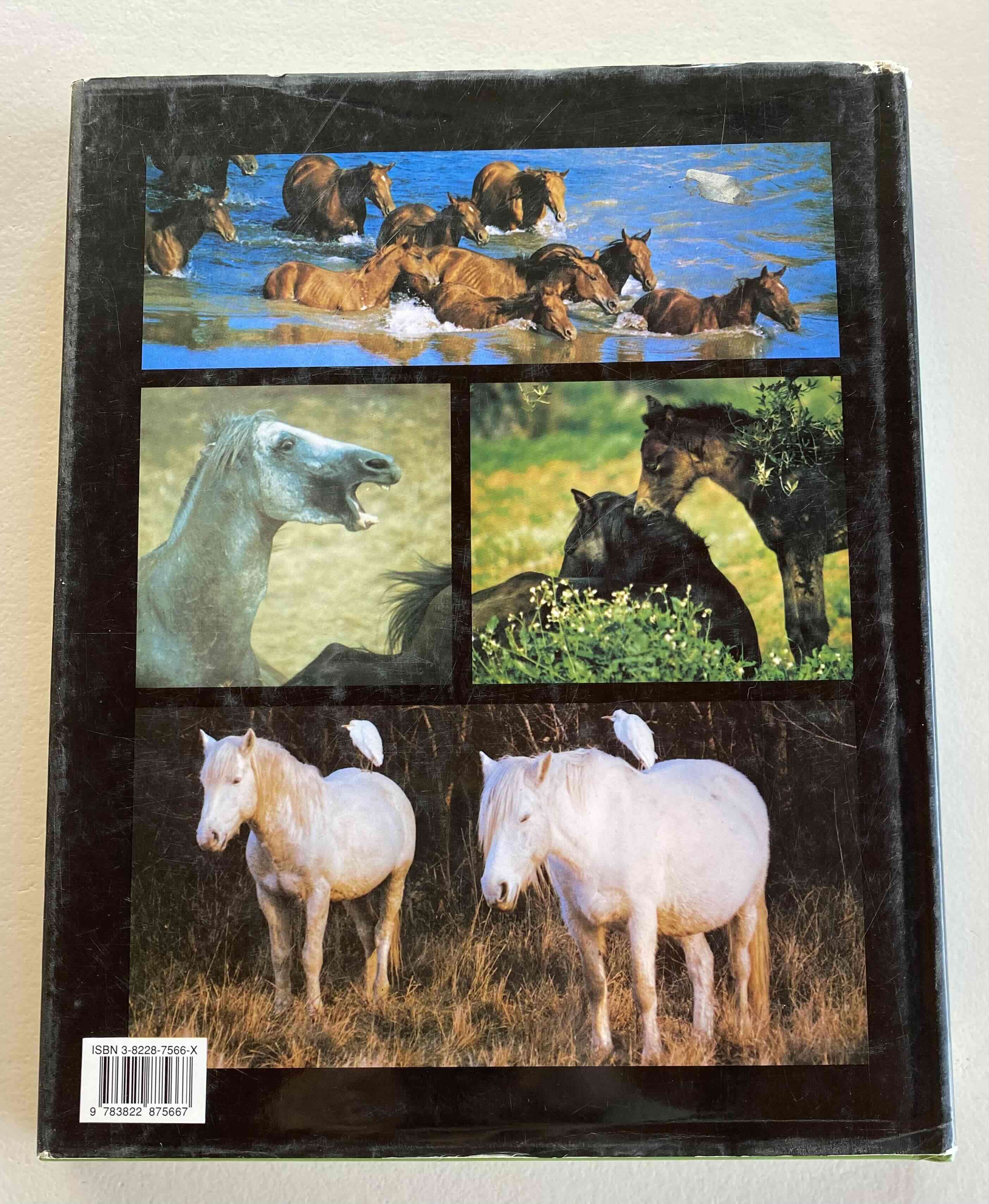 Libro La Vida Secreta del Caballo - miniatura 2