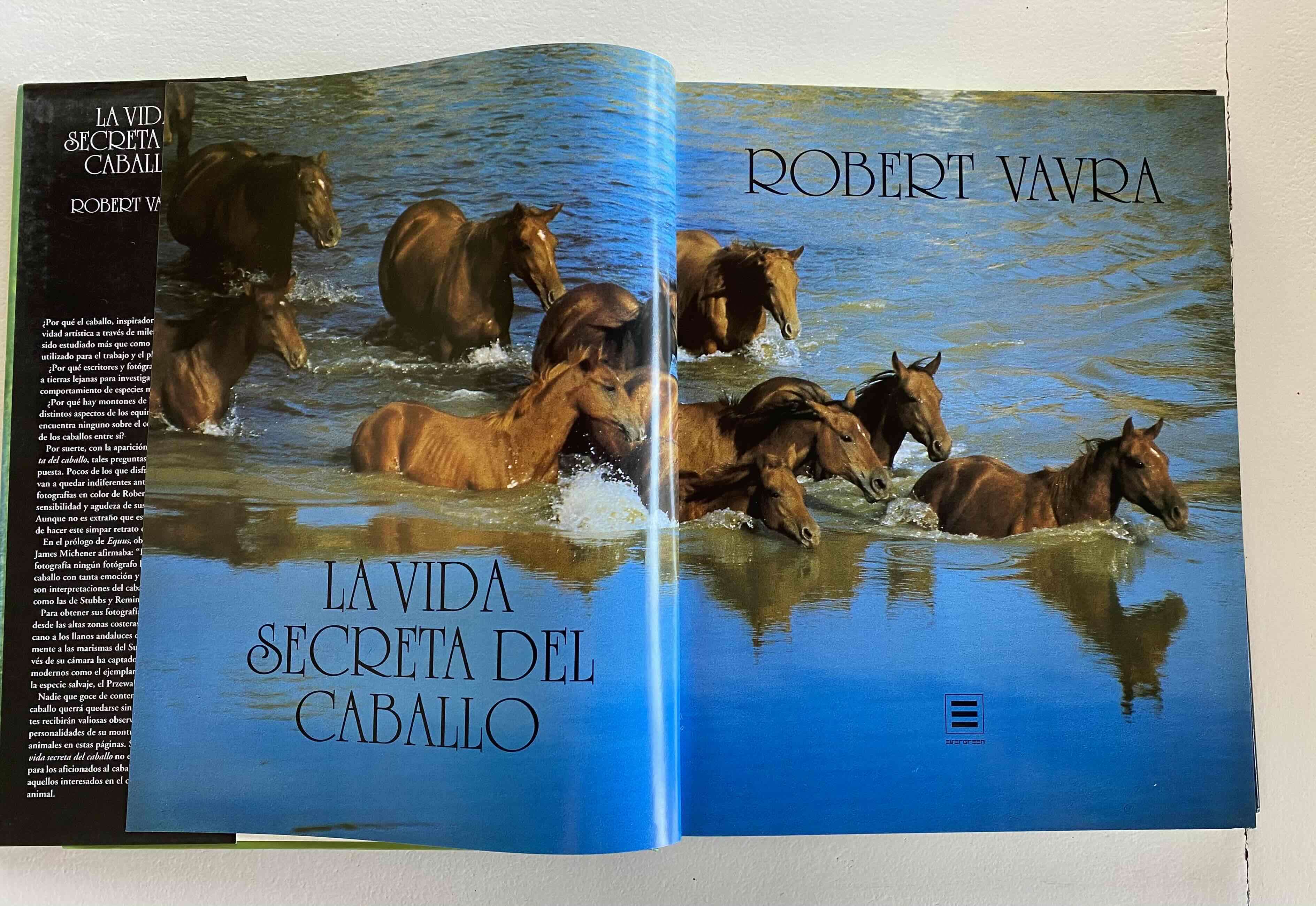 Libro La Vida Secreta del Caballo - miniatura 4