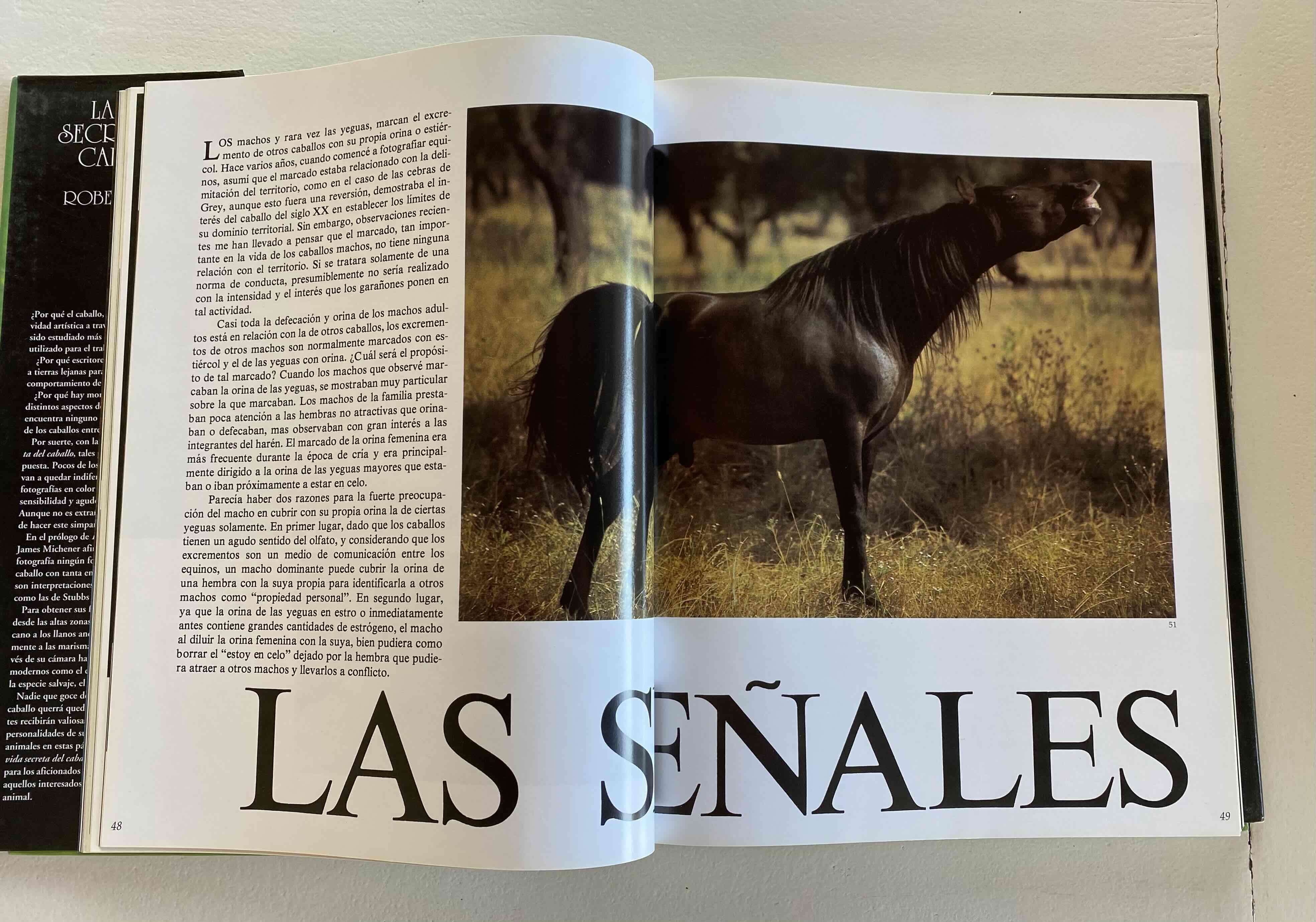 Libro La Vida Secreta del Caballo - miniatura 5