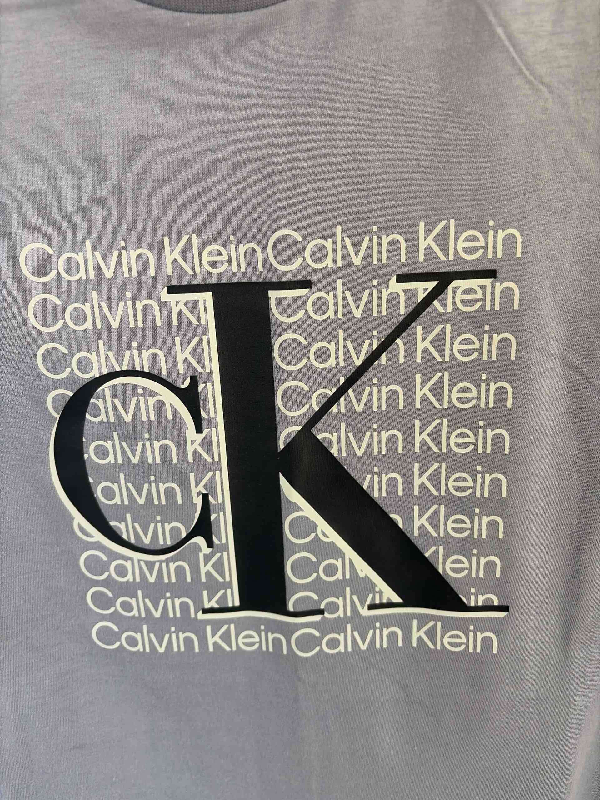 Polera Calvin Klein azul - miniatura 2