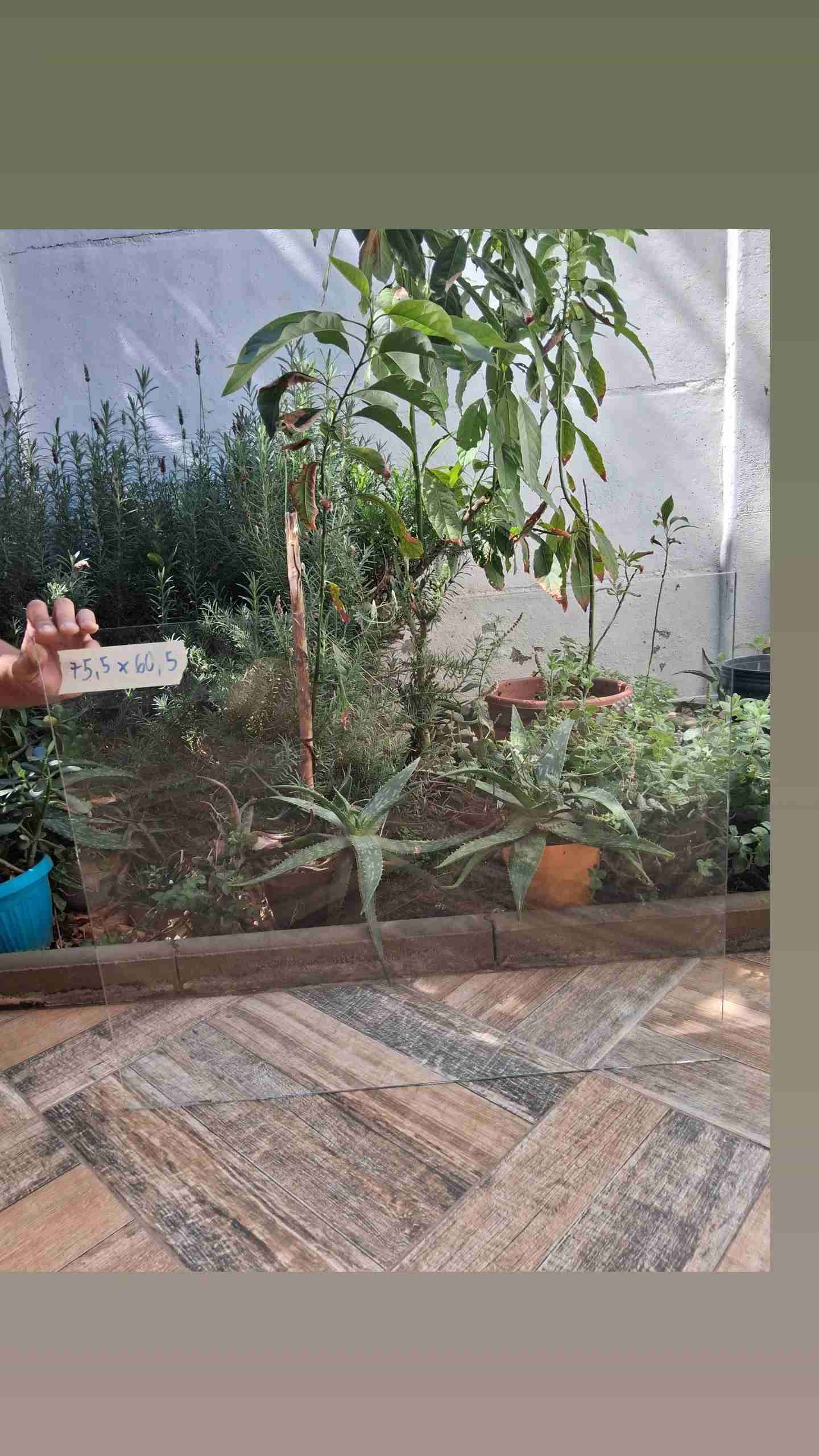 Panel de vidrio 250x84 cm - miniatura 4