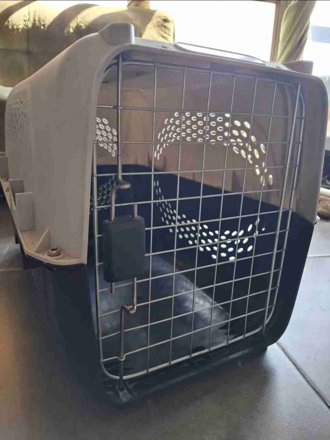 Transportador de mascotas mediano - miniatura 5