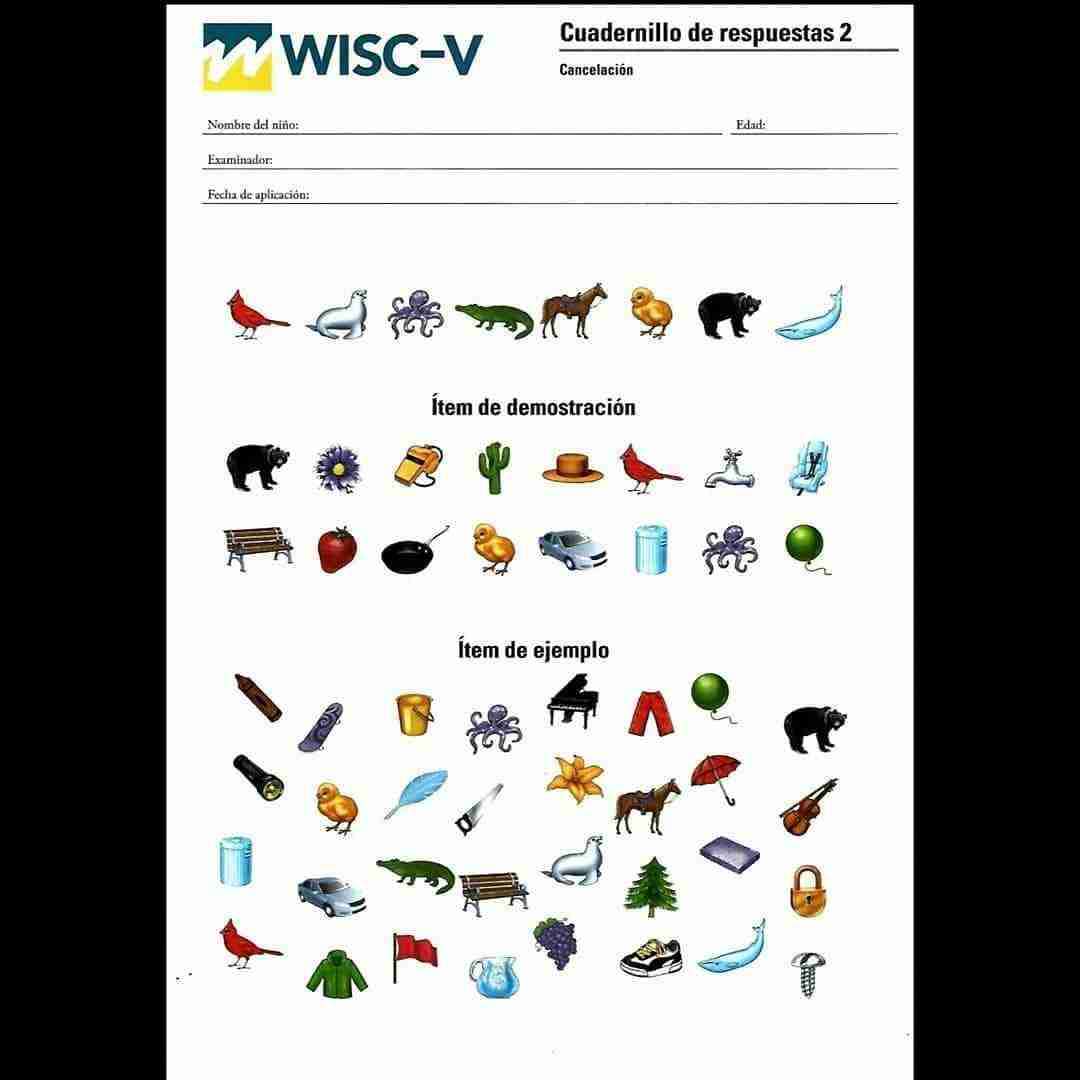 WISC-V Estandarización Chilena Digital - miniatura 4