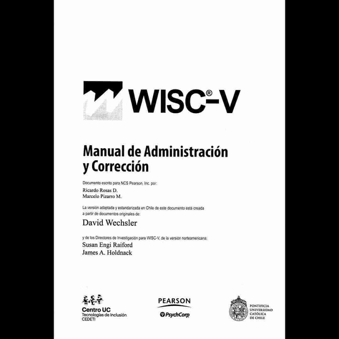 WISC-V Estandarización Chilena Digital - miniatura 5