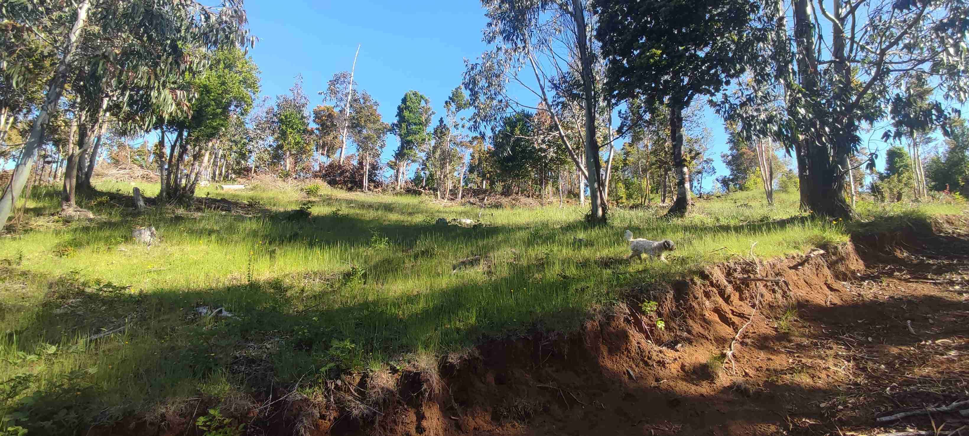 Vendo terreno - miniatura 1