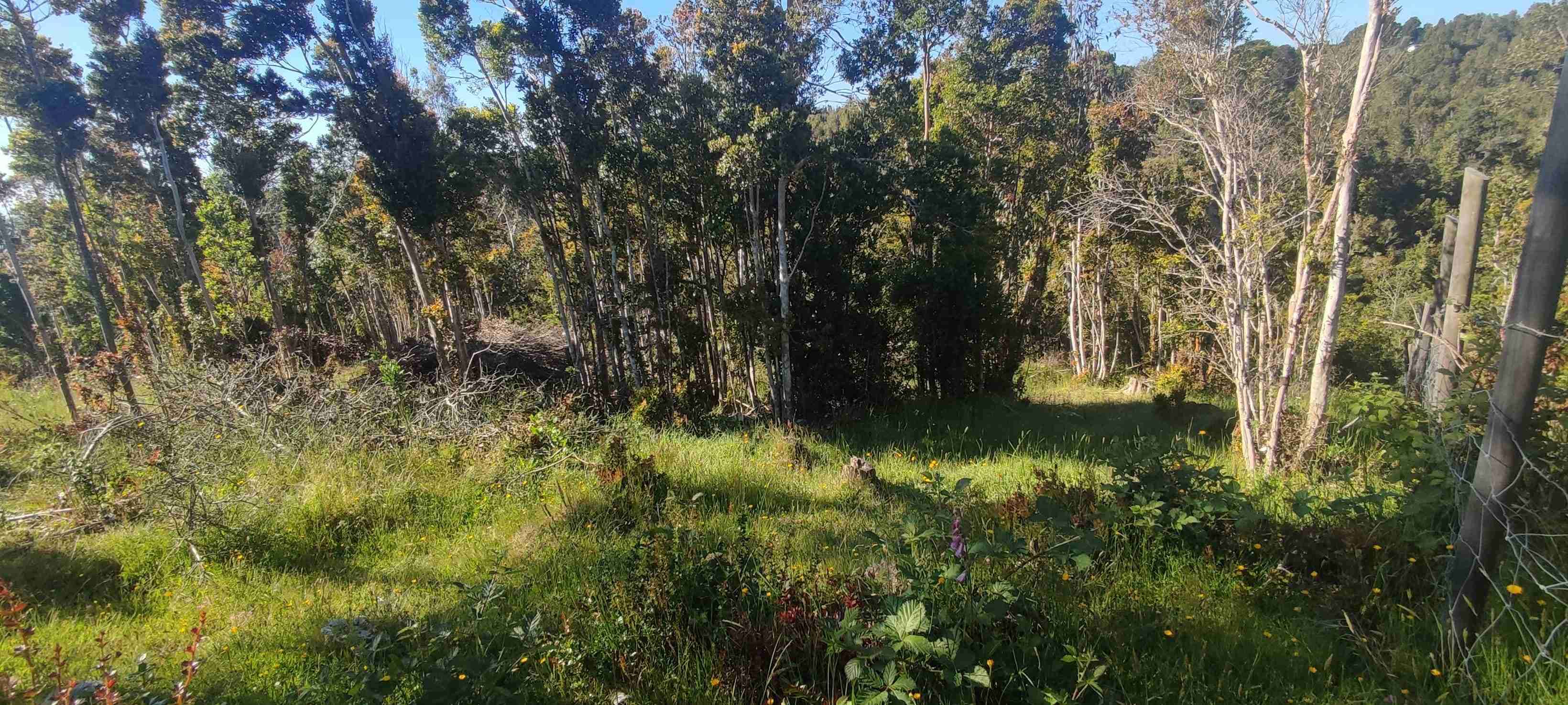 Vendo terreno - miniatura 2