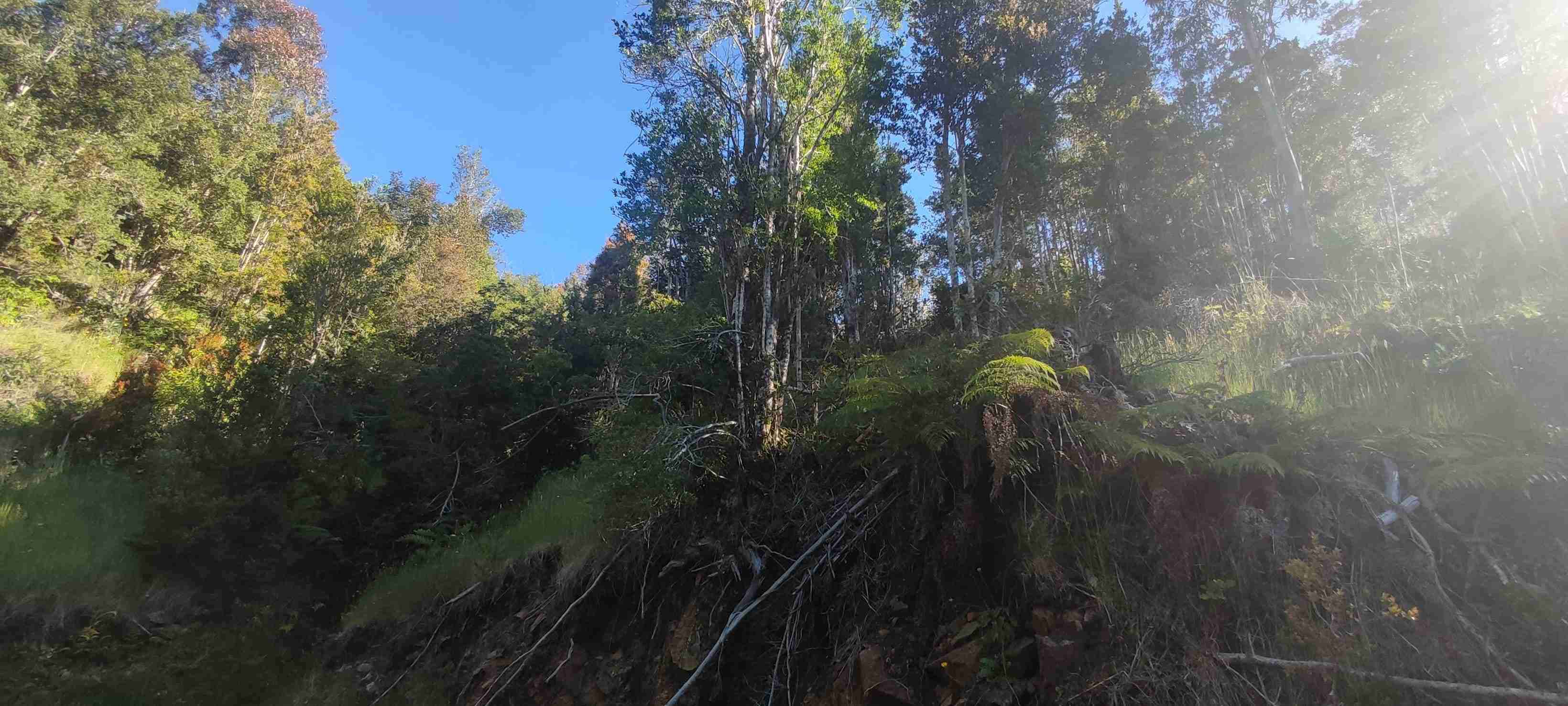 Vendo terreno - miniatura 3