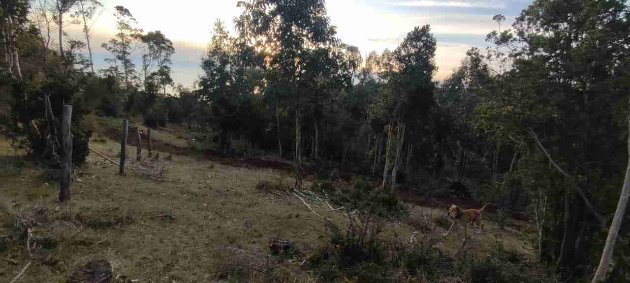 Vendo terreno - miniatura 5