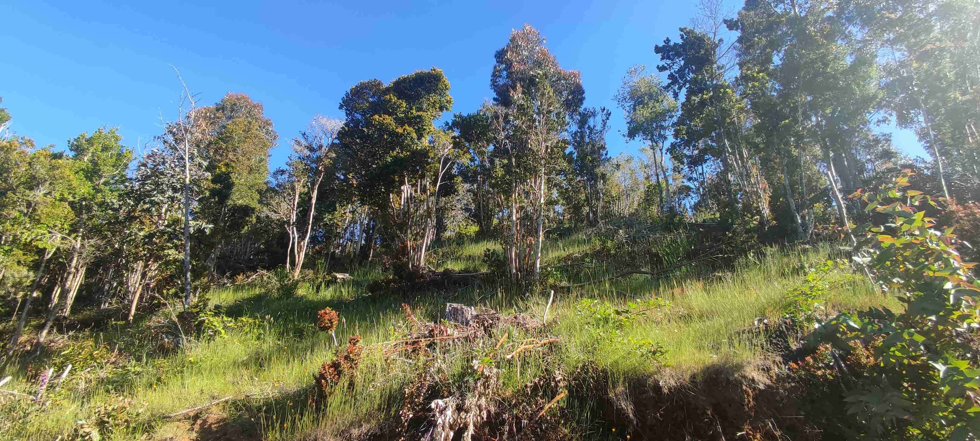 Vendo terreno - miniatura 6