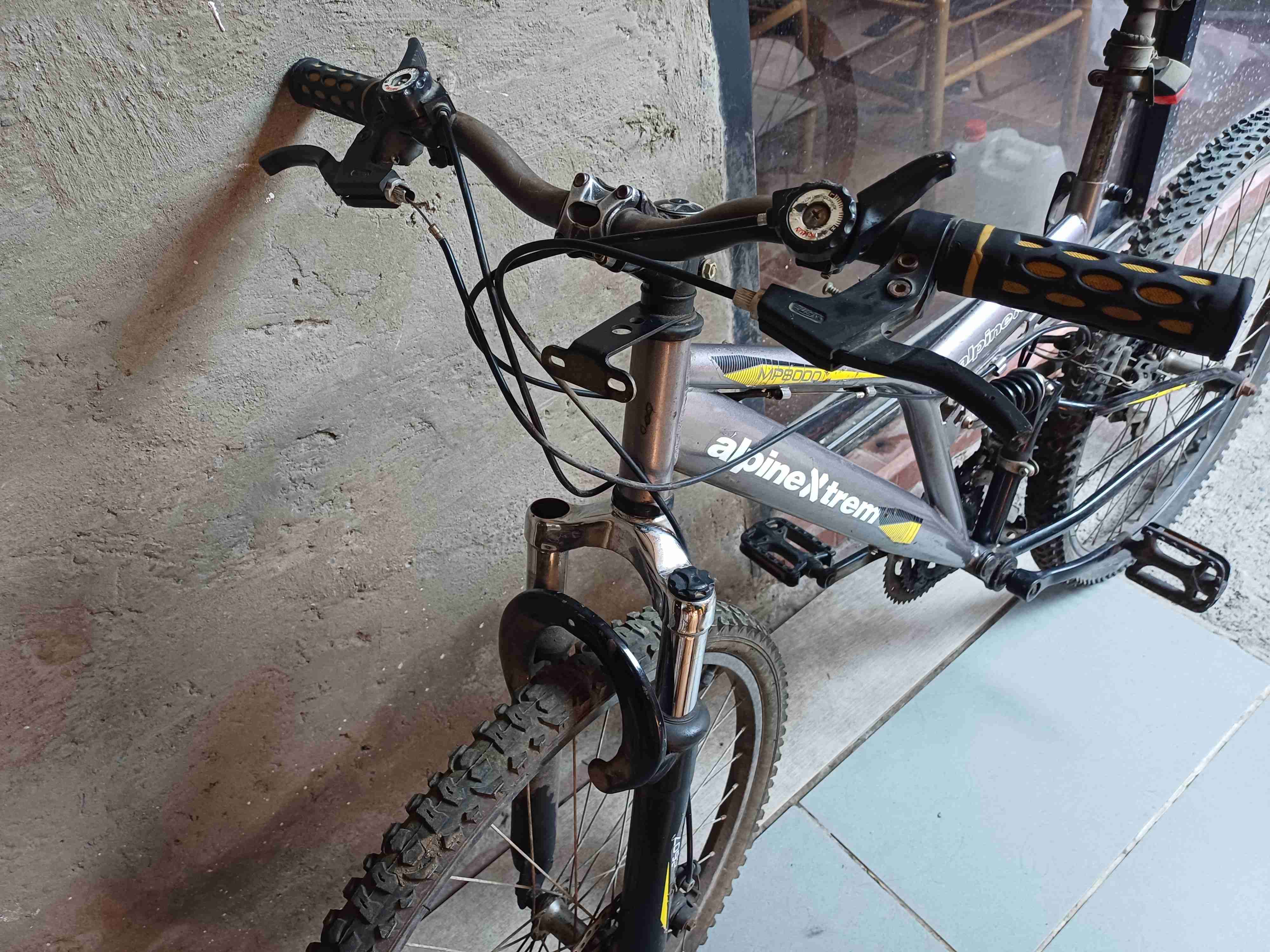 Bicicleta de montaña Alpinextrem - 3