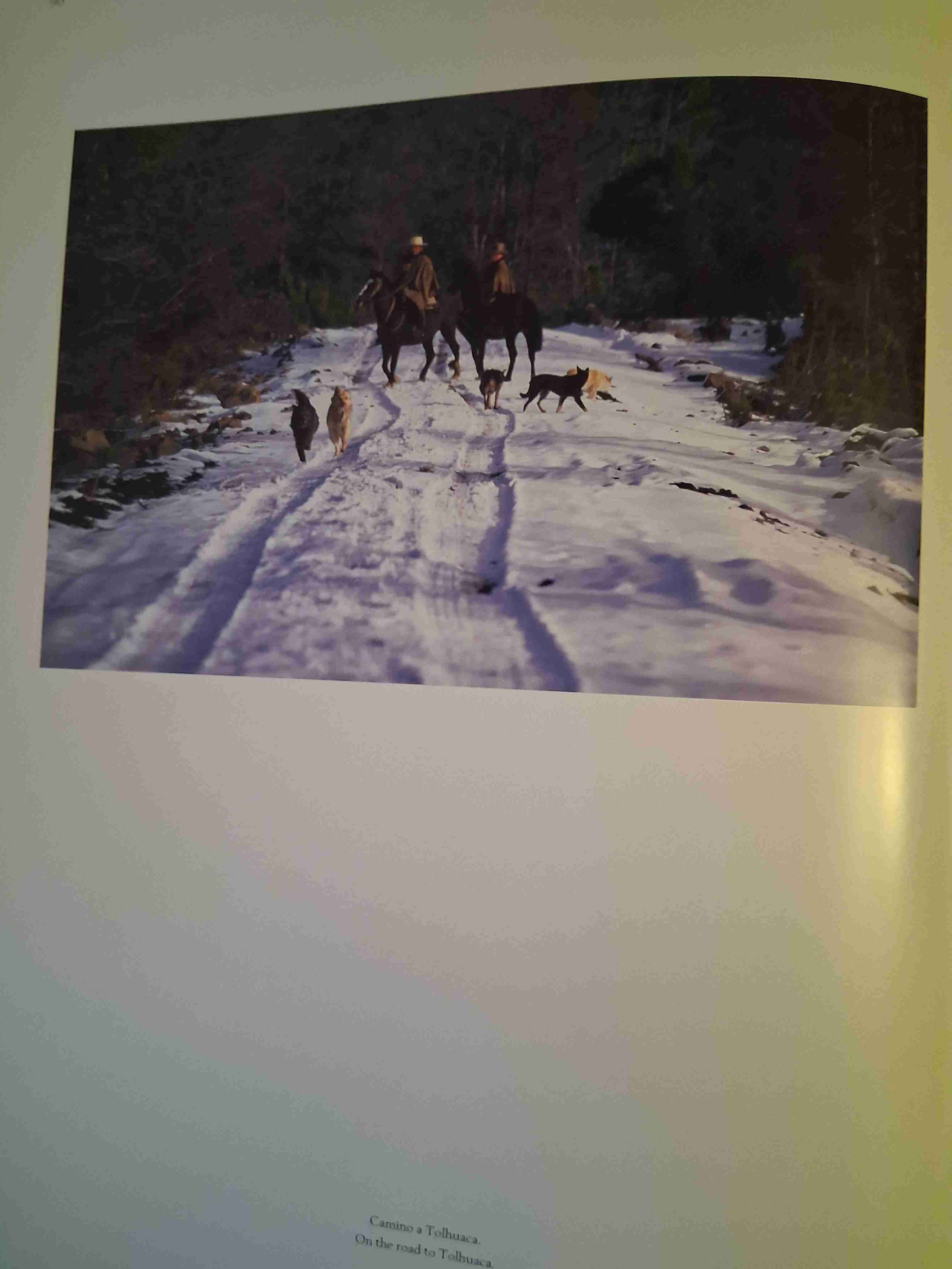 Libro Chile formas y colores - miniatura 3