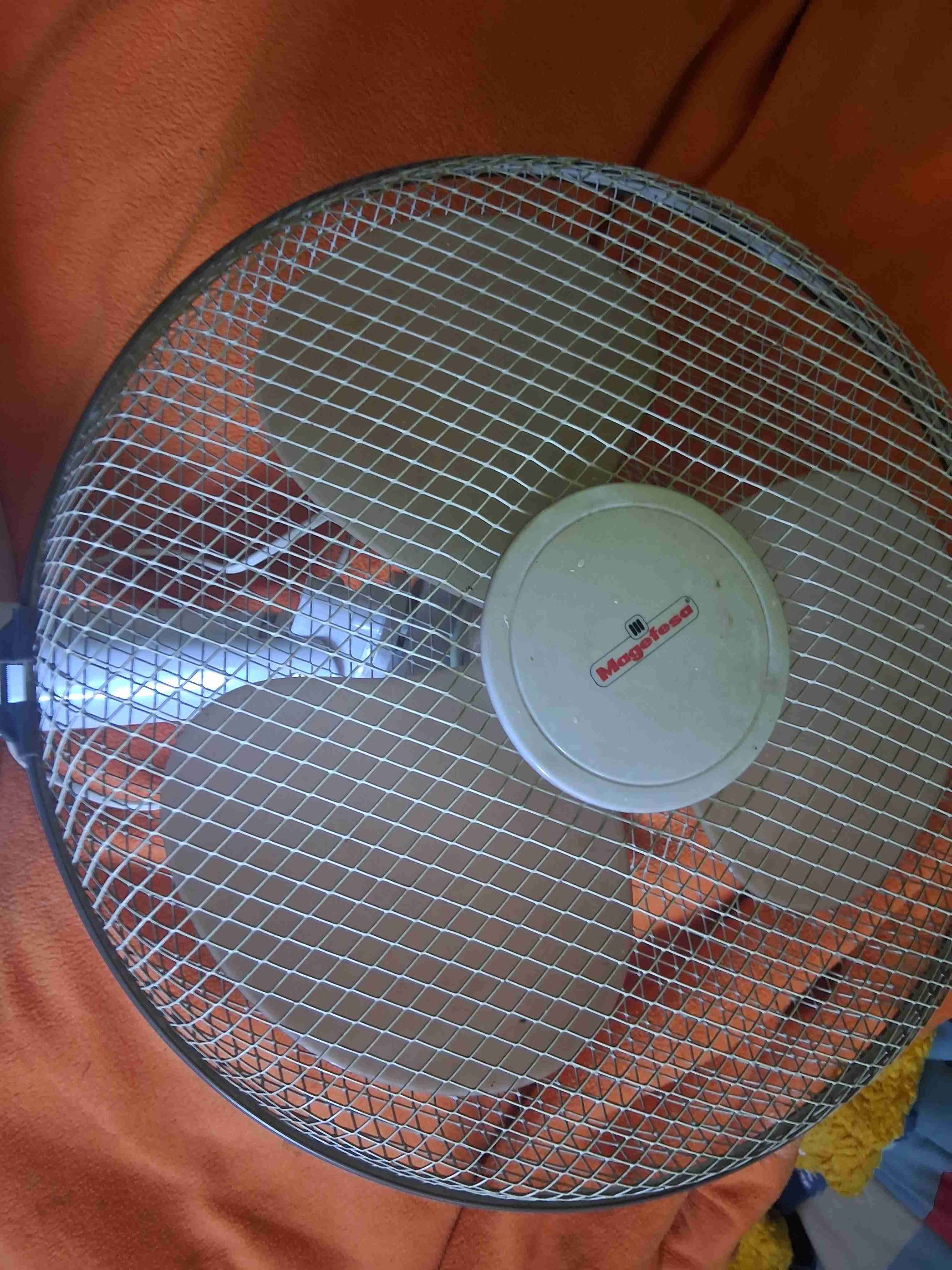 Lote por cambio de cuidad - 3