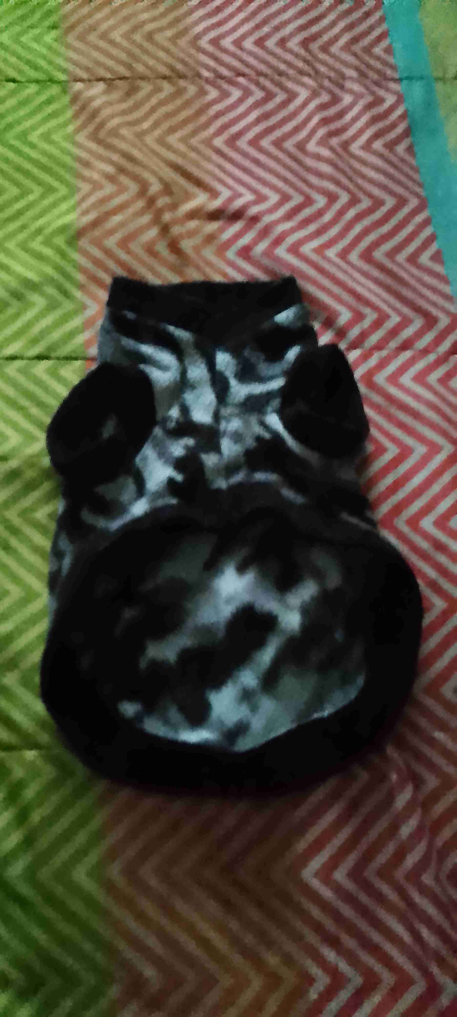 Abrigo polar para perro estampado - 3