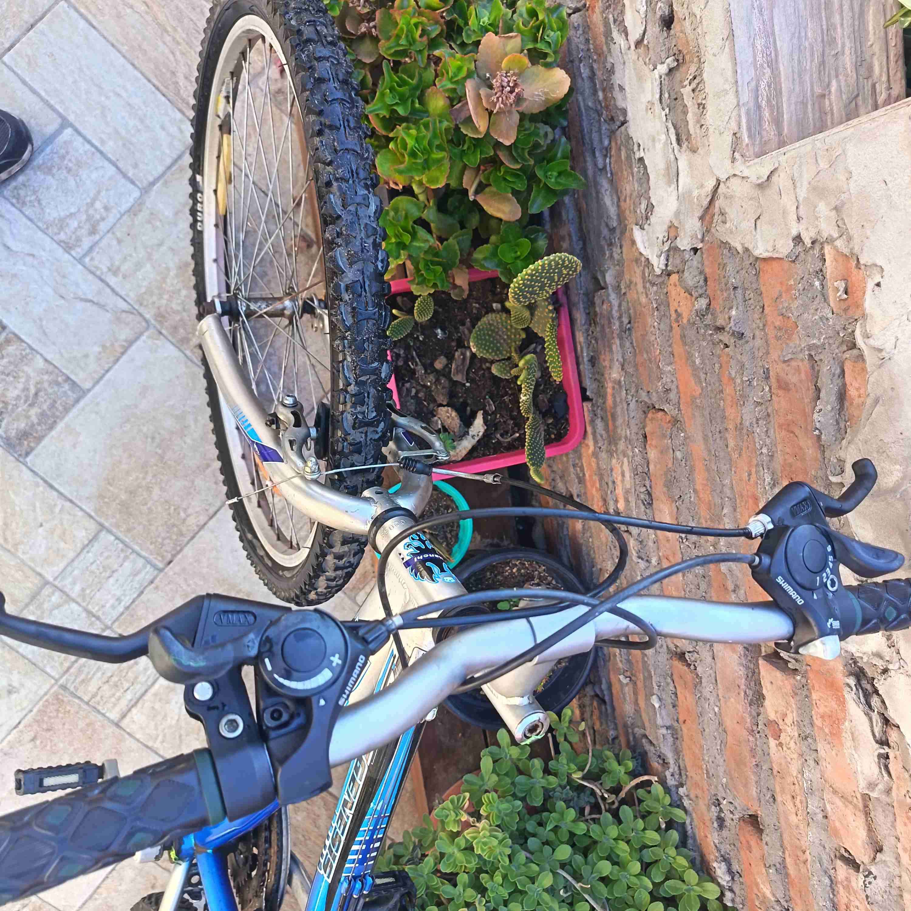 Bicicleta Bianchi azul - 5