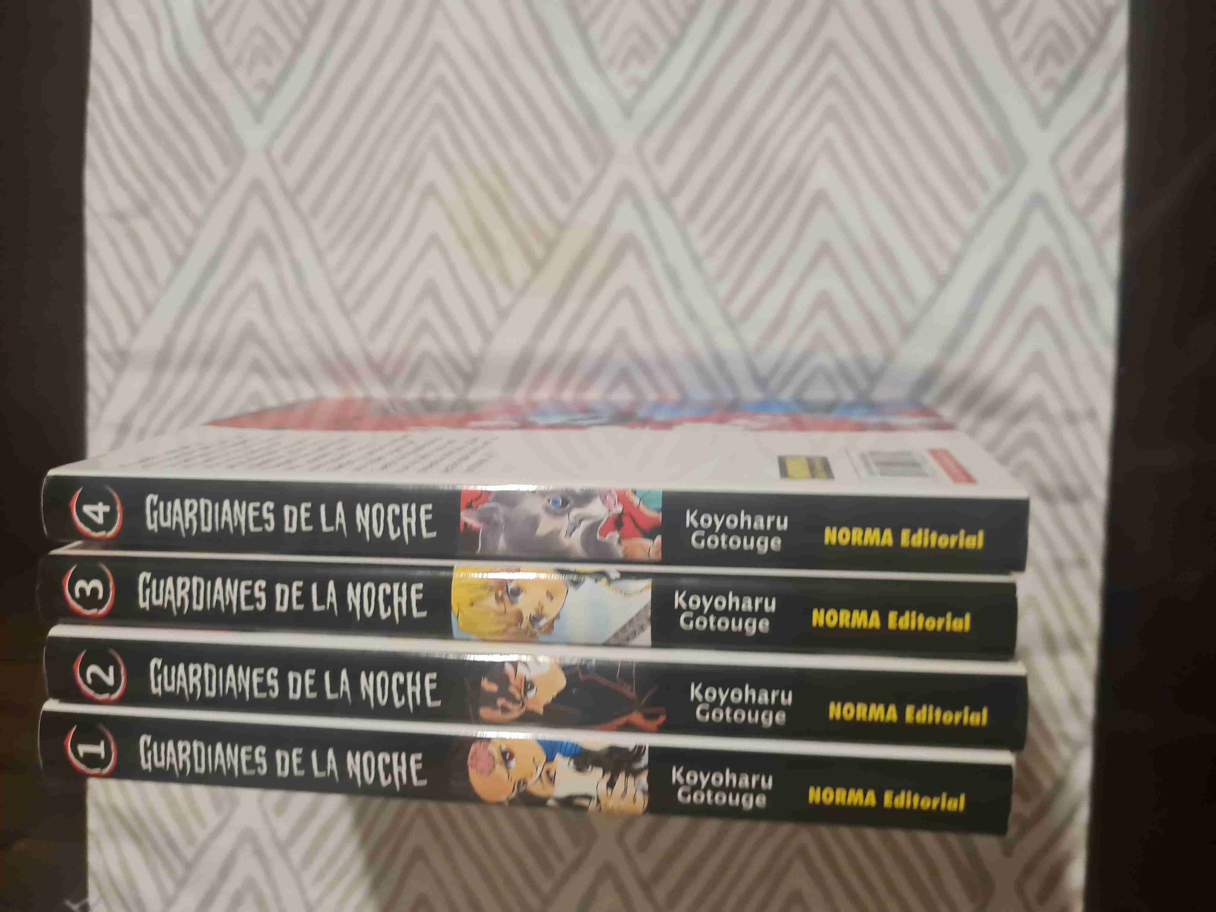 Mangas Guardianes de la Noche - 2