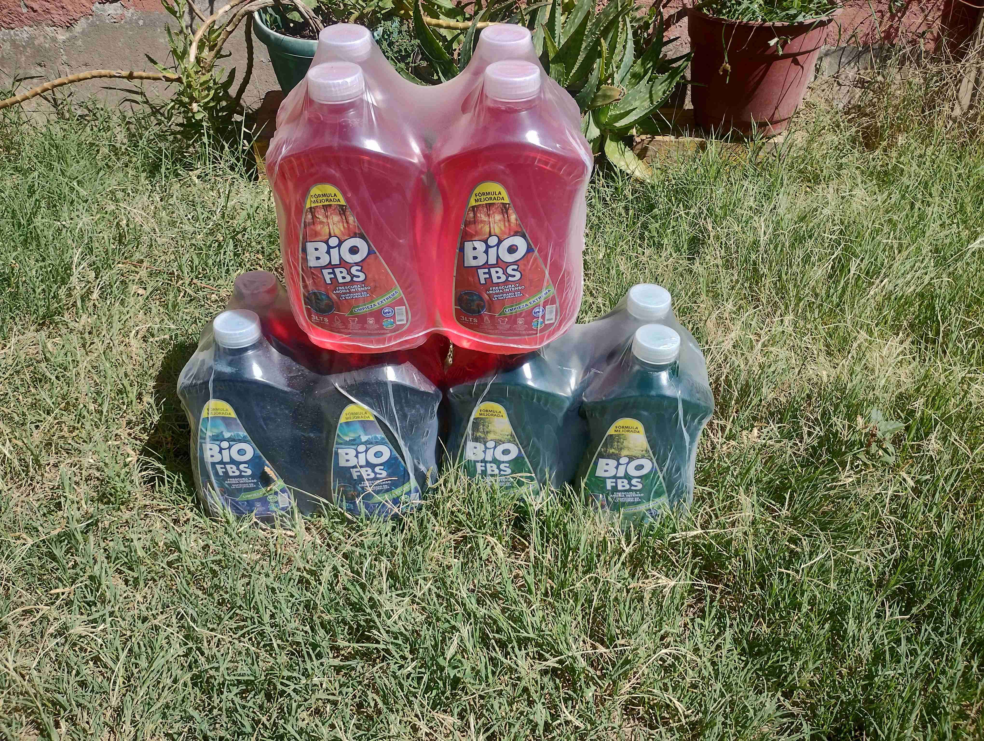 Detergente Bio FBS 3L - 2