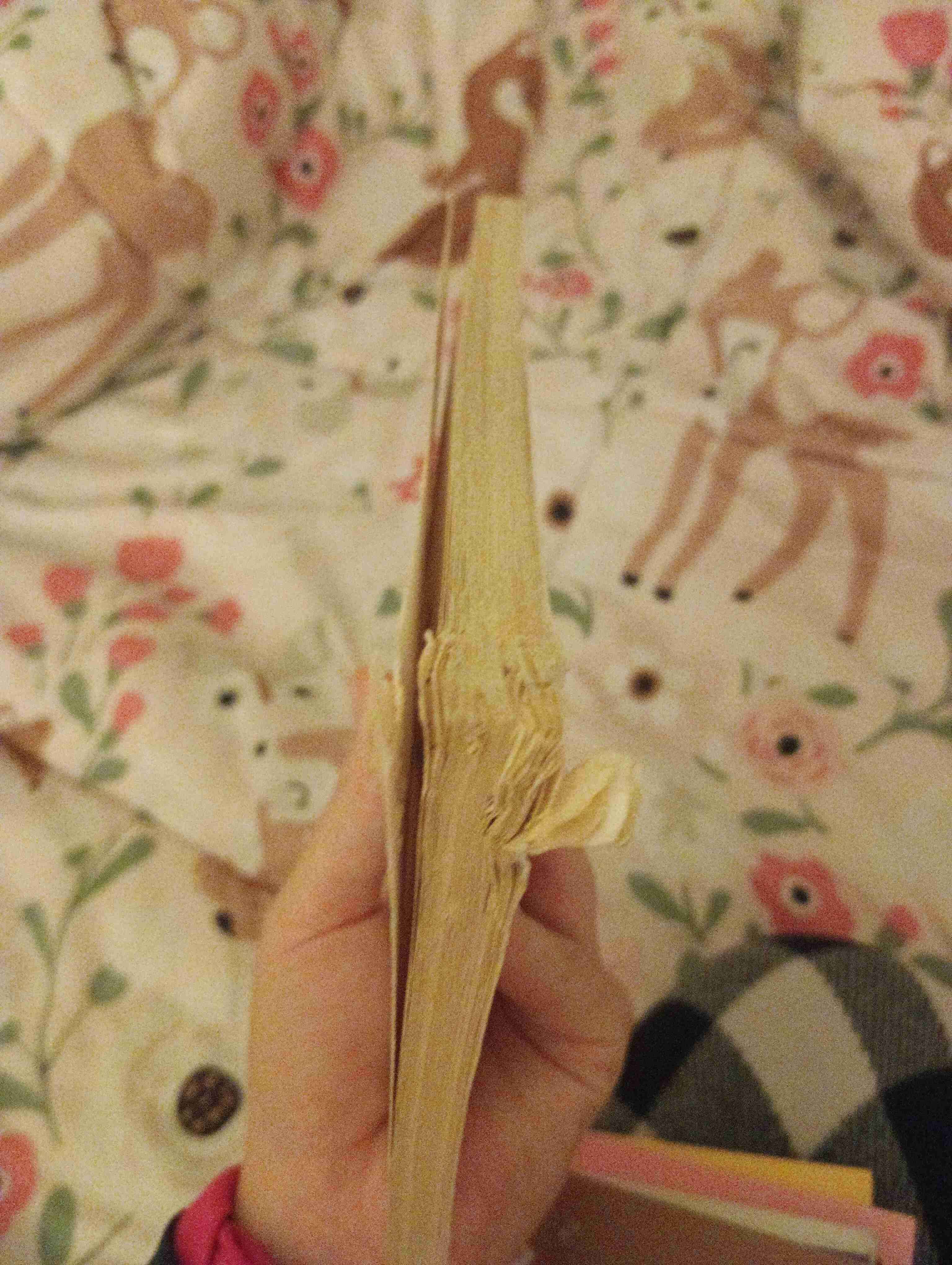 Libro 'Enamórate de Ti' Walter Riso y más libros. - 2