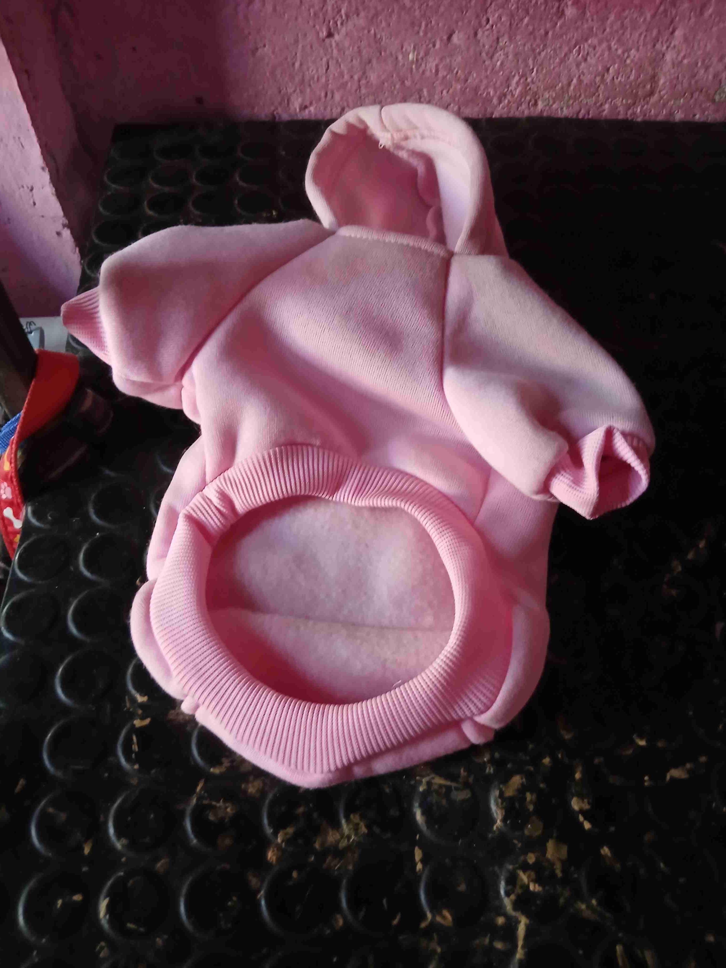 Poleron para perrita - 1