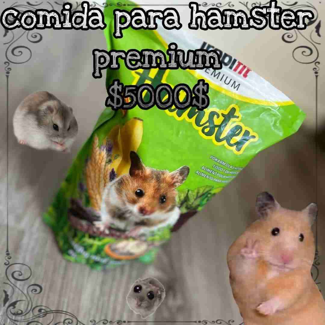 Comida para hámster premium - 1
