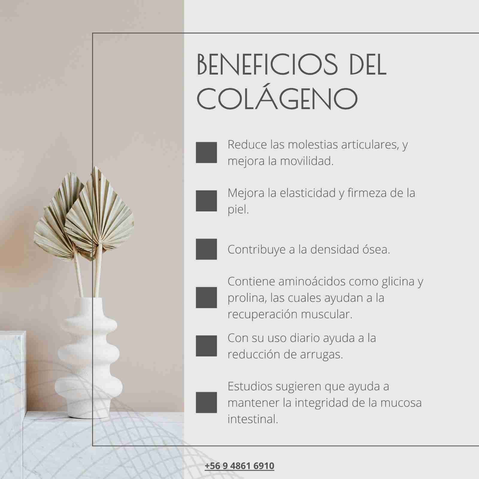 Colágeno Hidrolizado 100% bovino 620 grs - miniatura 2