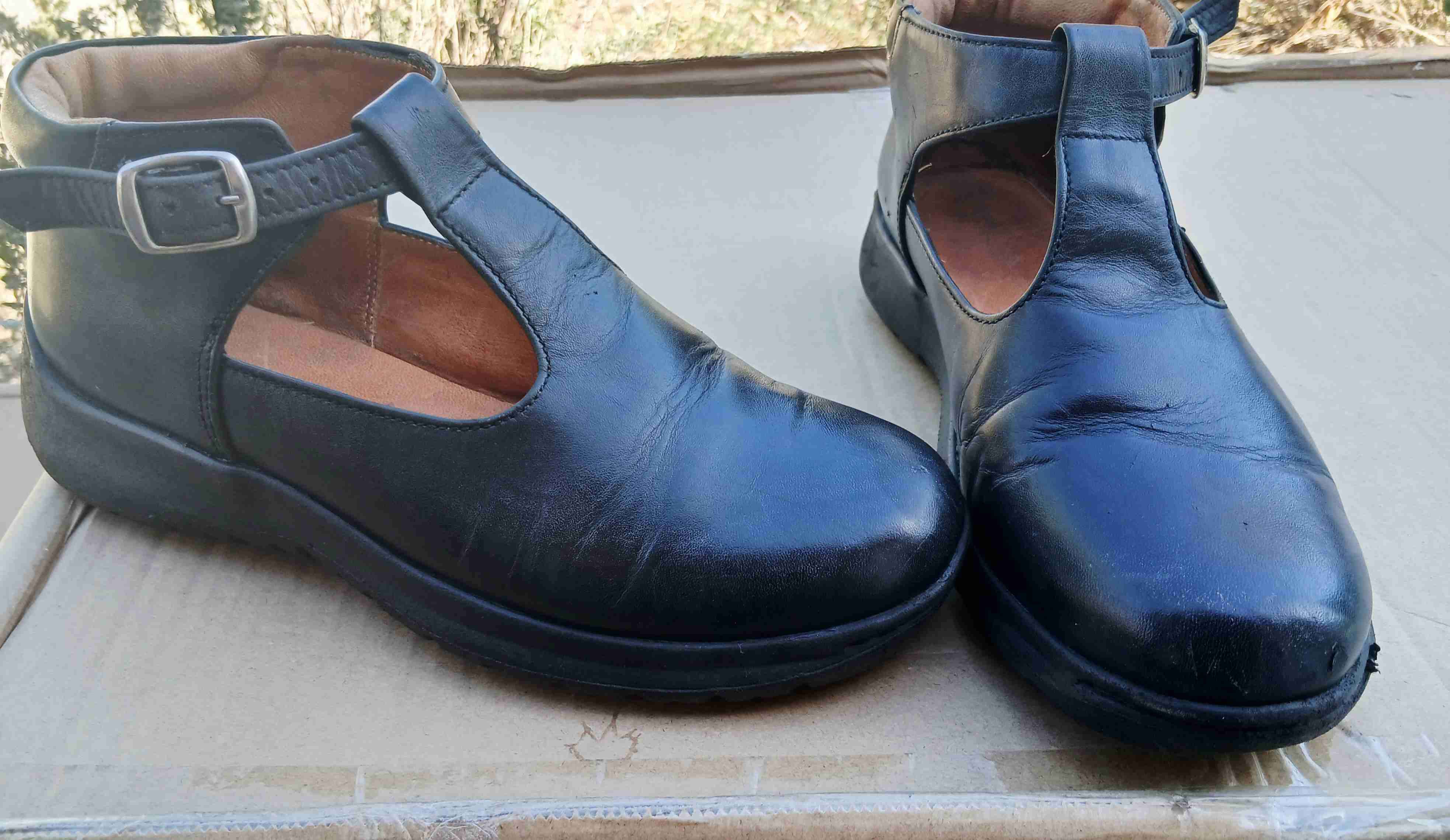 Zapatos escolar Reina