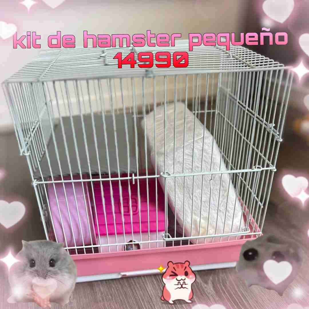 Kit de hámster pequeño - 1