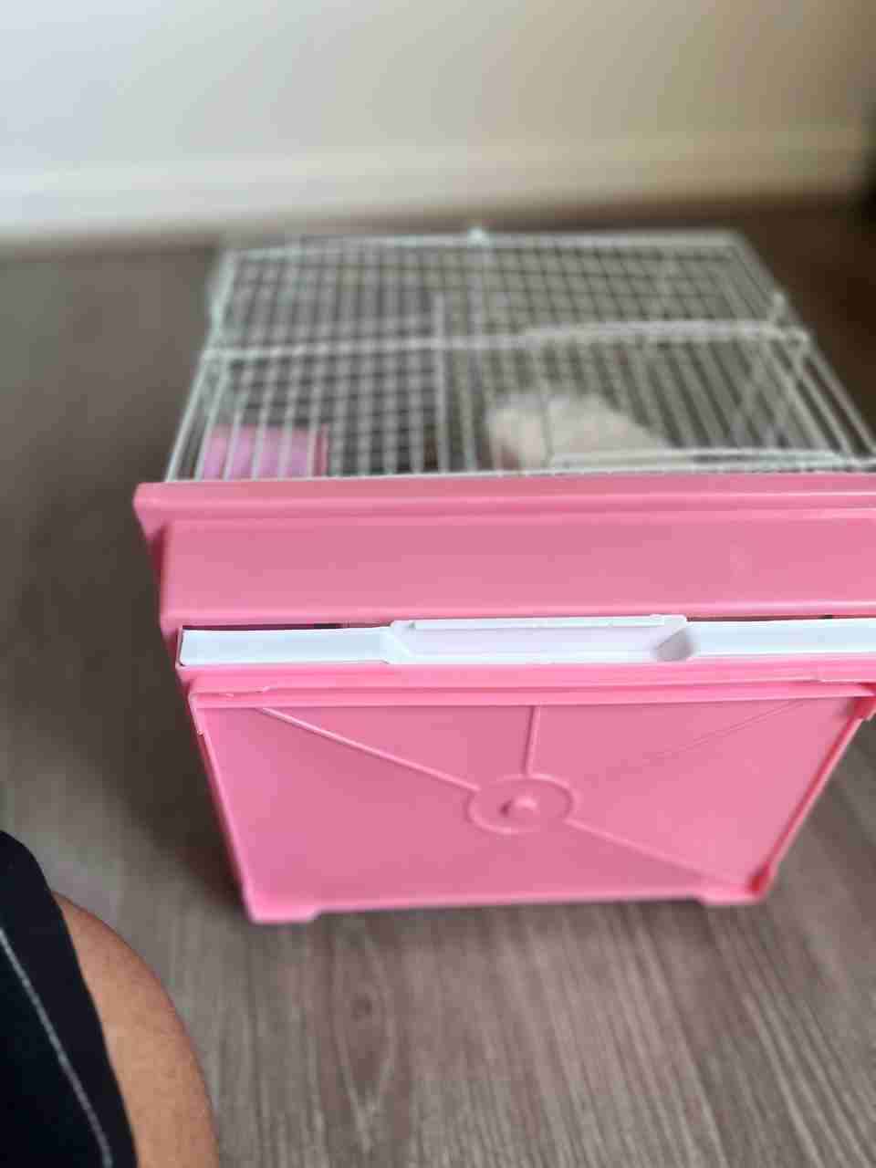 Kit de hámster pequeño - 4