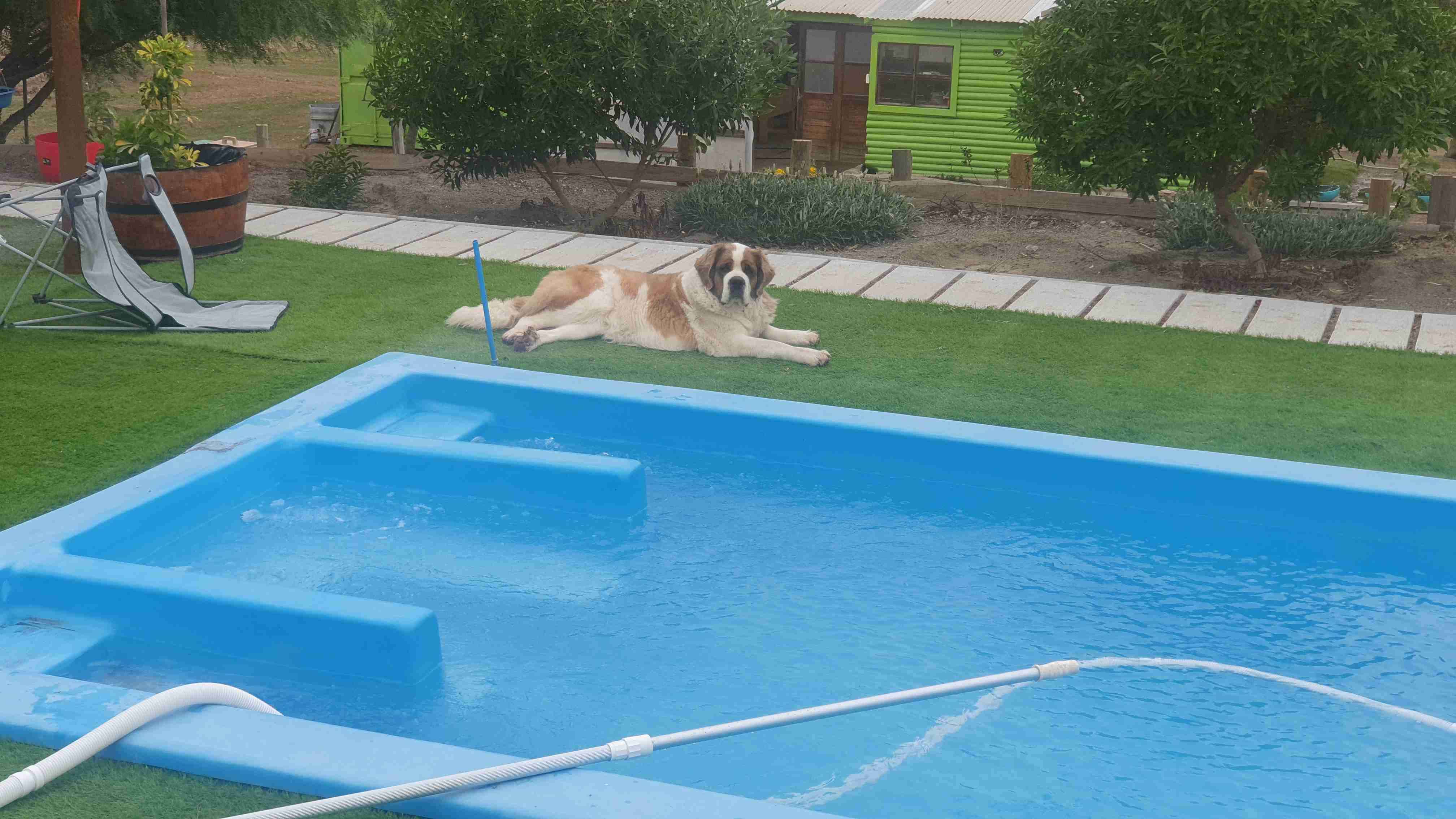 Venta casa de campo en parcela de 3 hectareas - miniatura 3