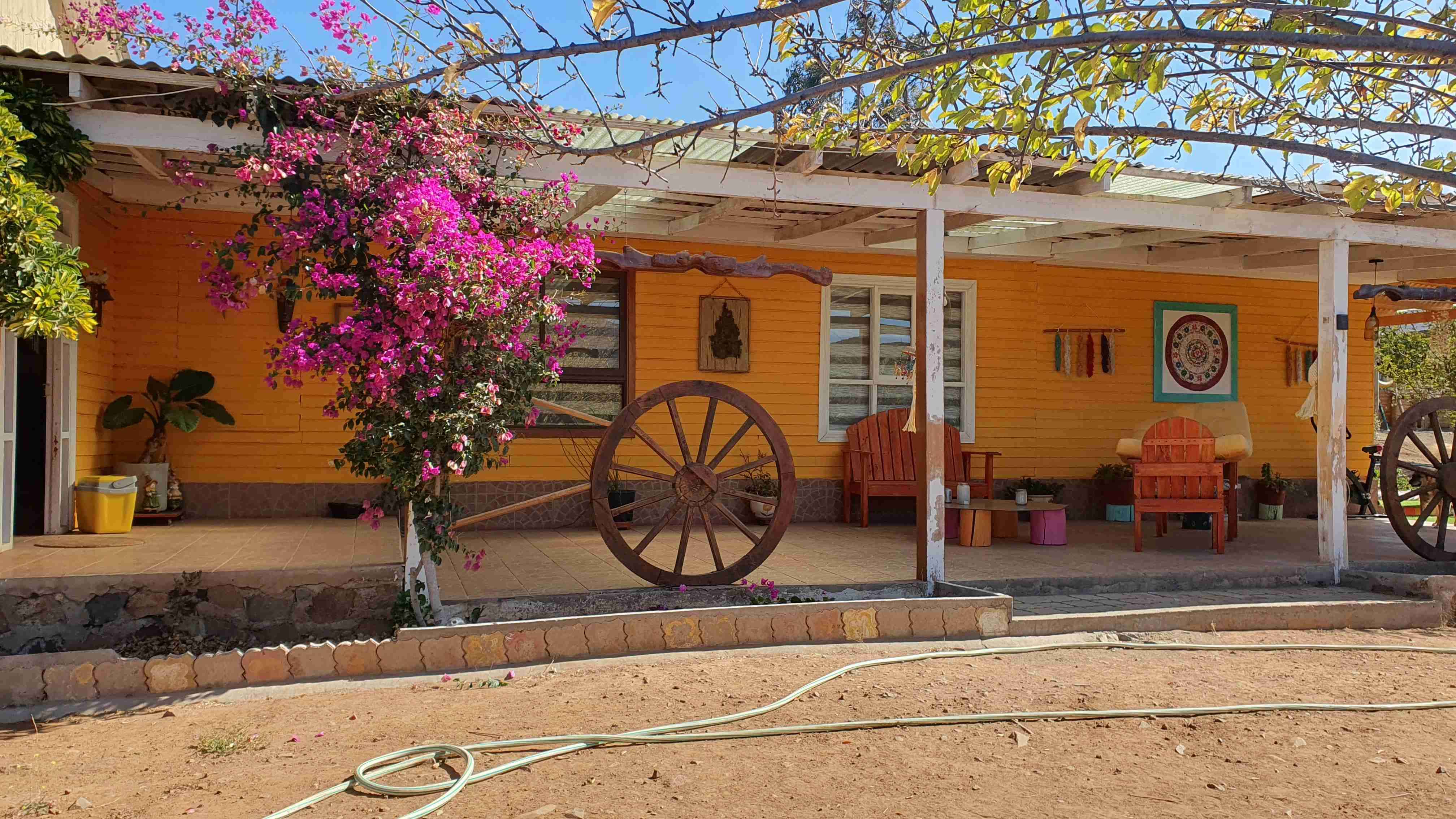 Venta casa de campo en parcela de 3 hectareas - miniatura 6