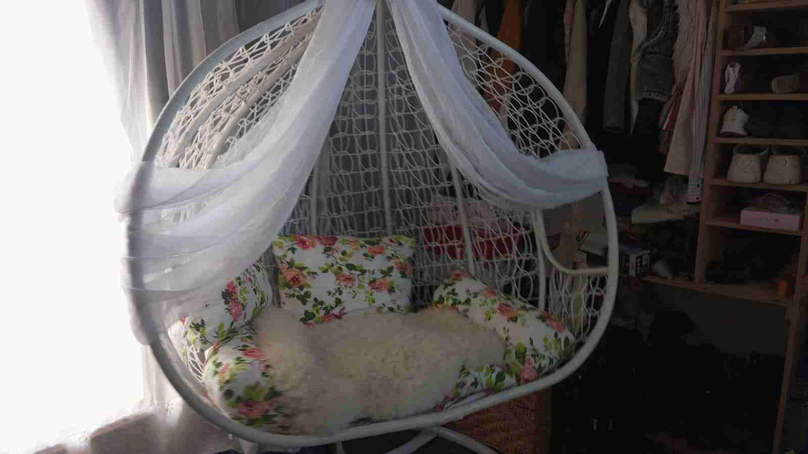 Columpio tipo huevo con cojines - 2