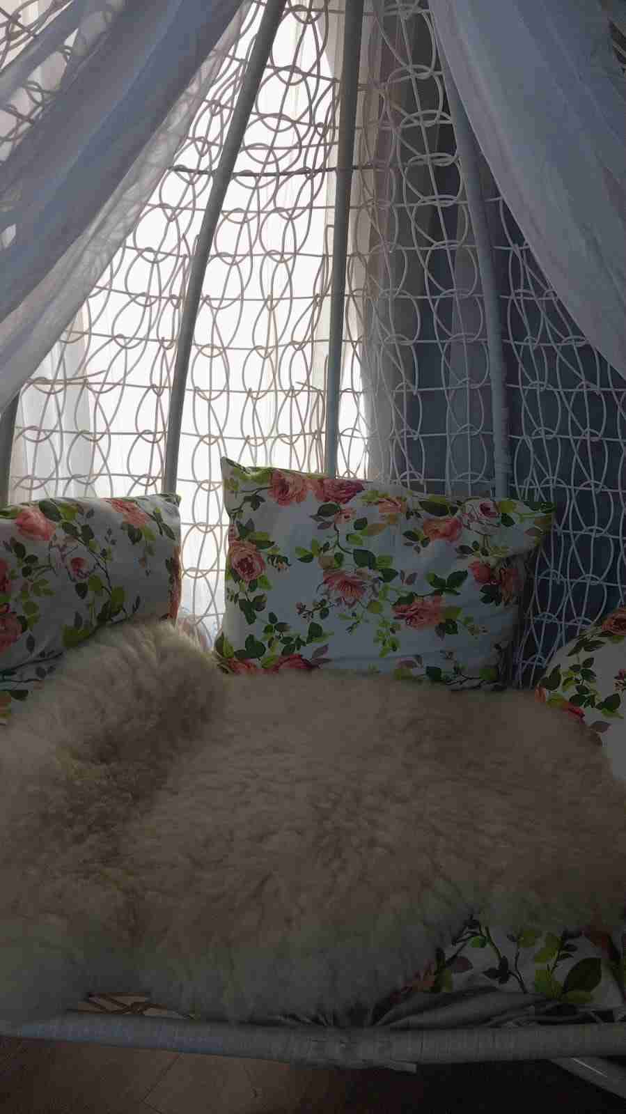 Columpio tipo huevo con cojines - 4