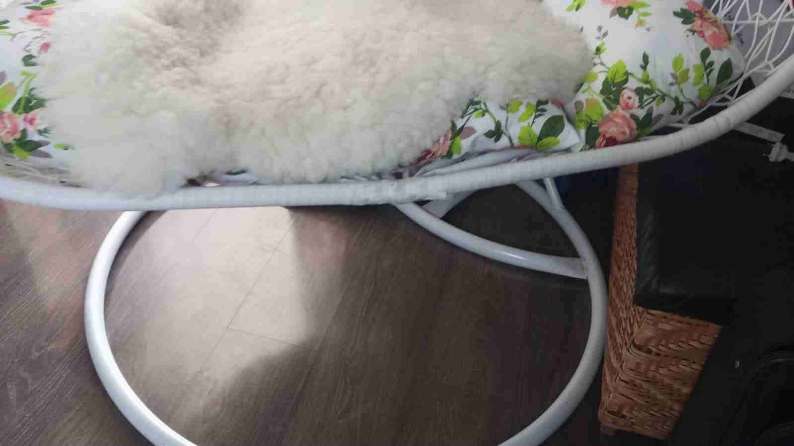 Columpio tipo huevo con cojines - 5