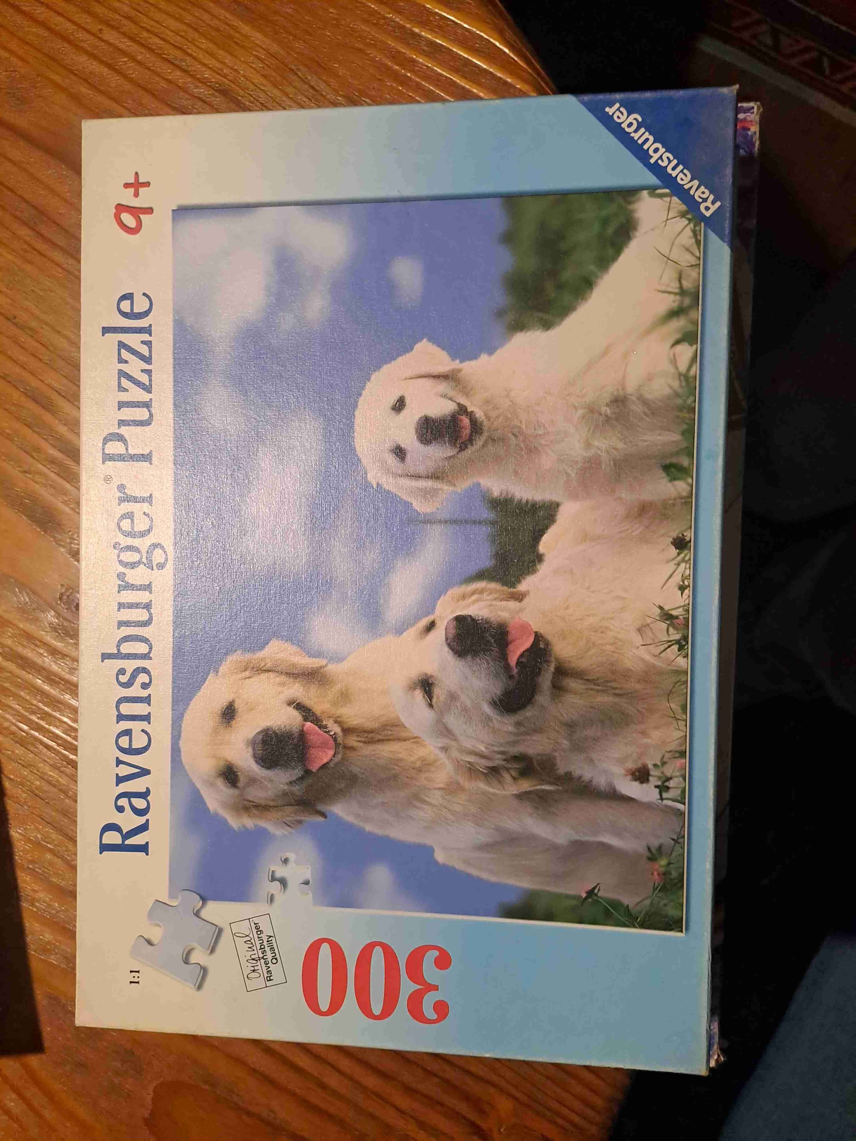 Rompecabezas Ravensburger 300 piezas