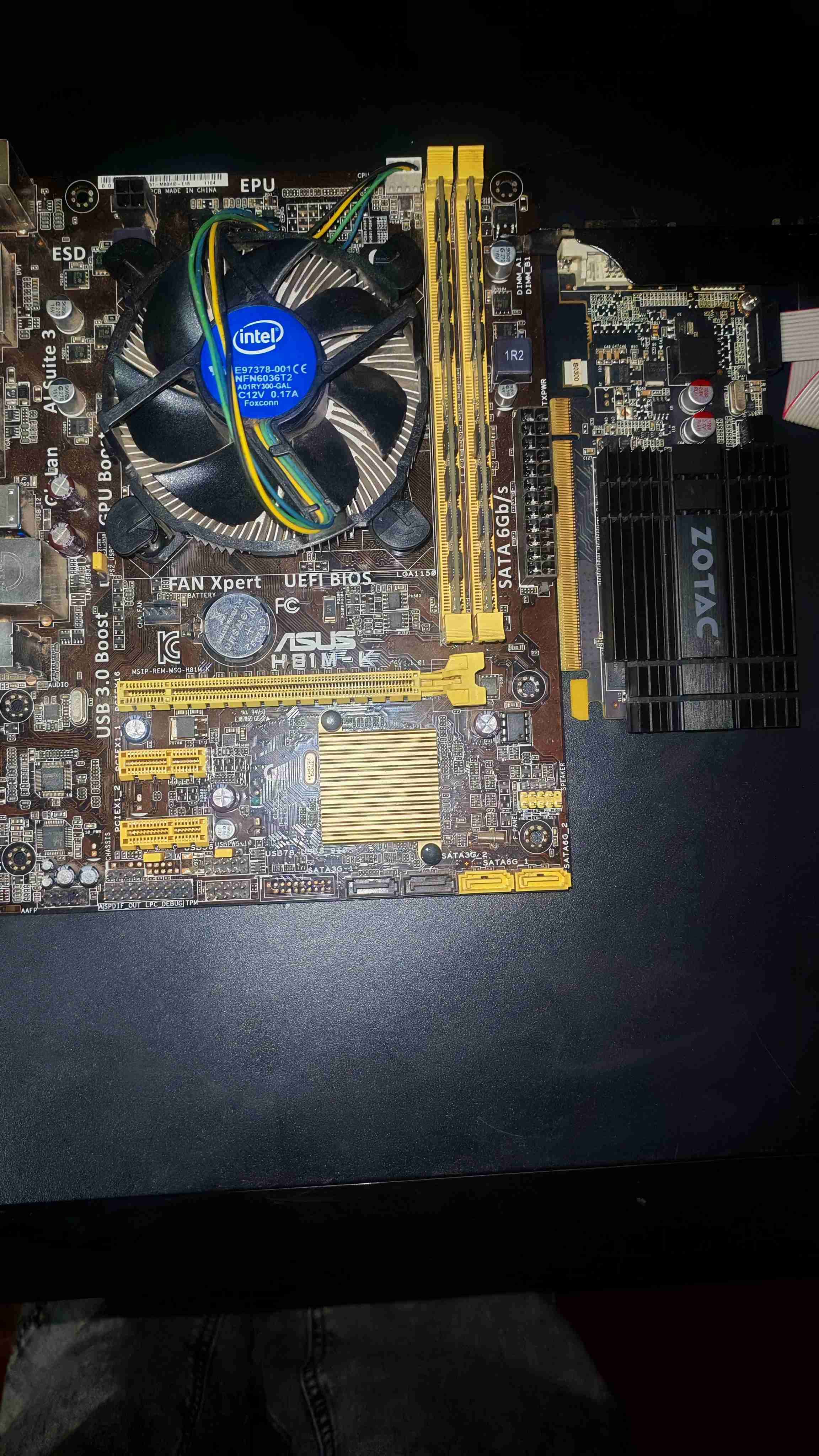 Tarjeta madre ASUS H81M-E