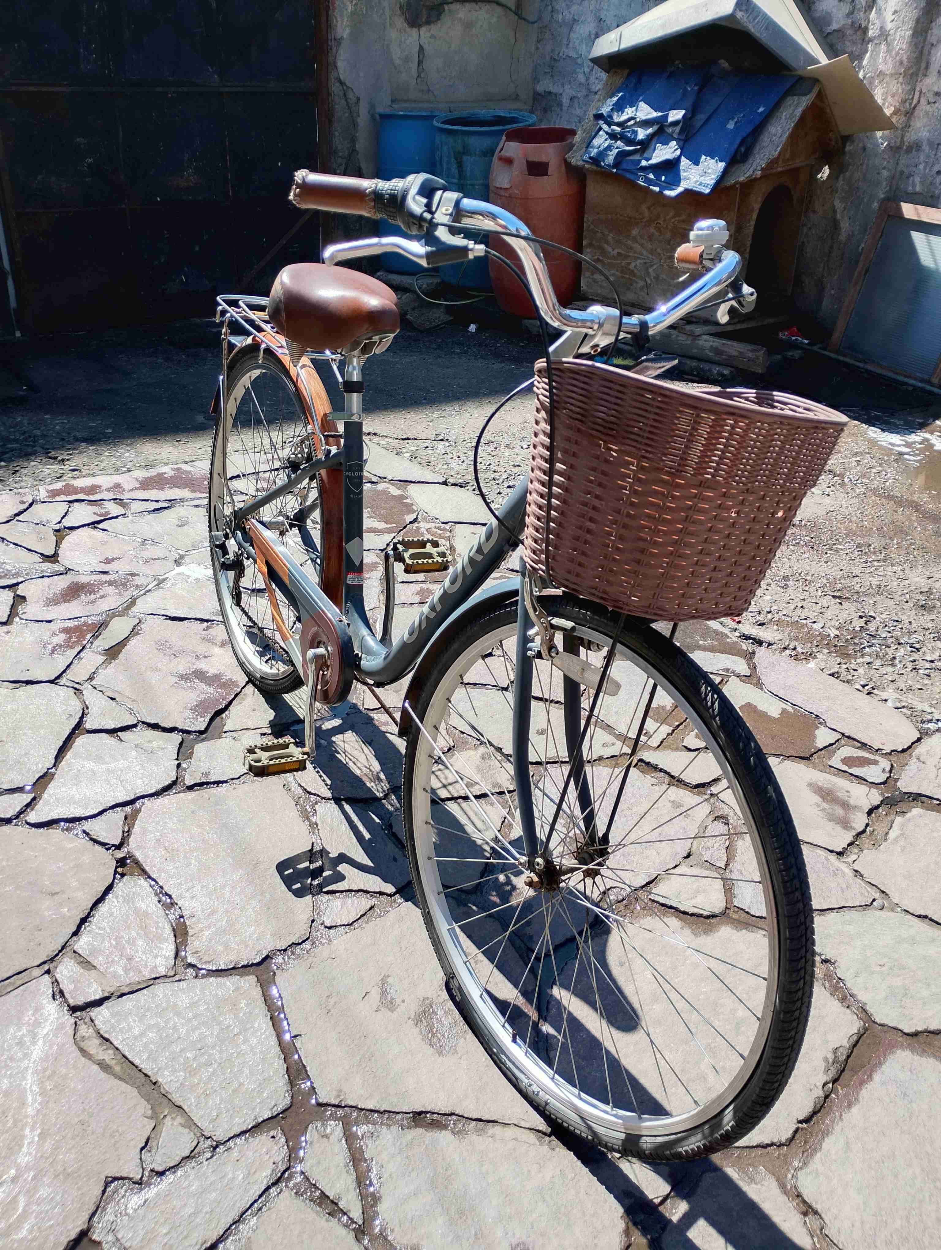 Bicicleta vintage con canasto - 1