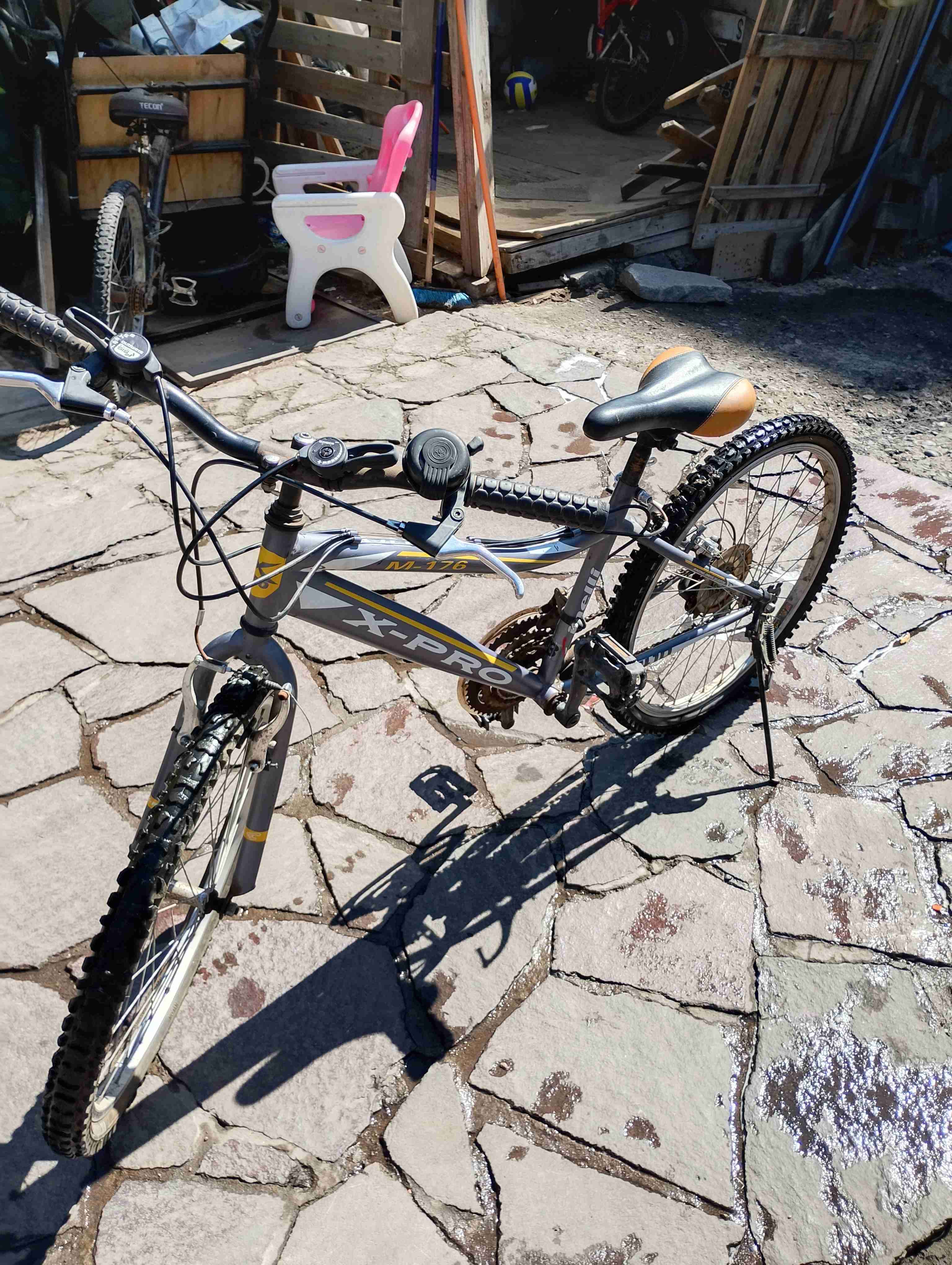 Bicicleta vintage con canasto - 3