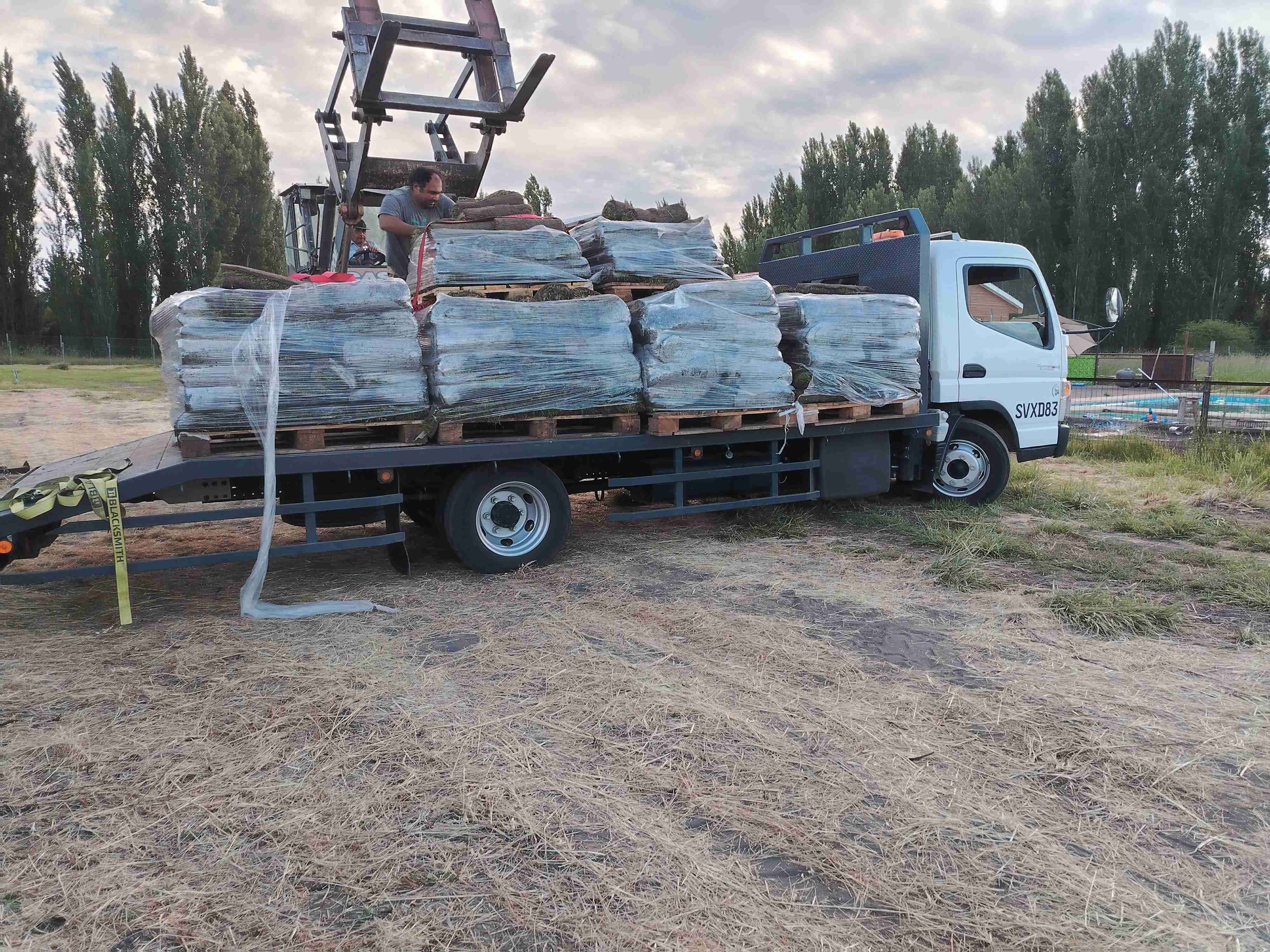 Flete disponible - miniatura 2