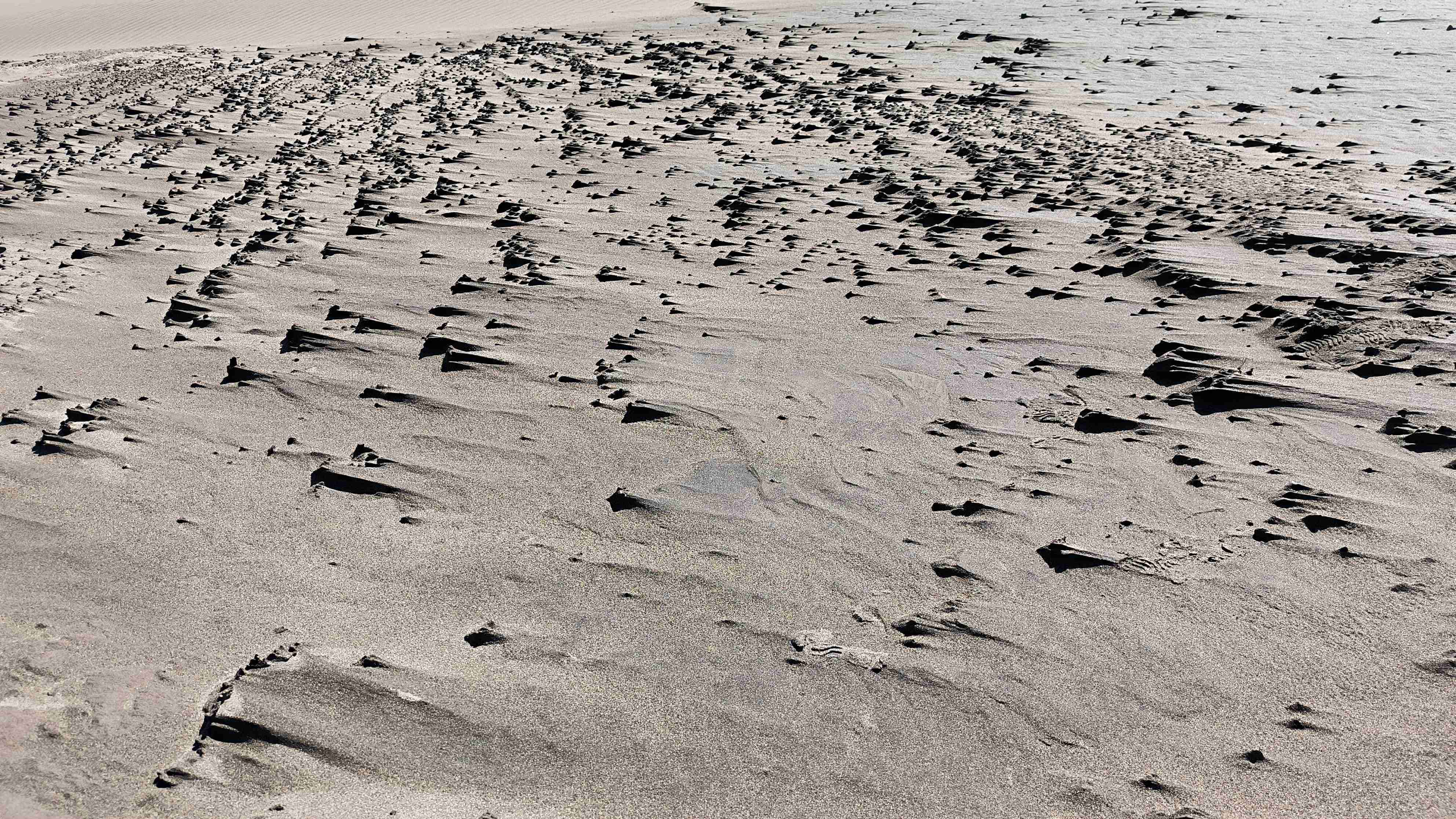 Smartphone Xiaomi 12 T - miniatura 5