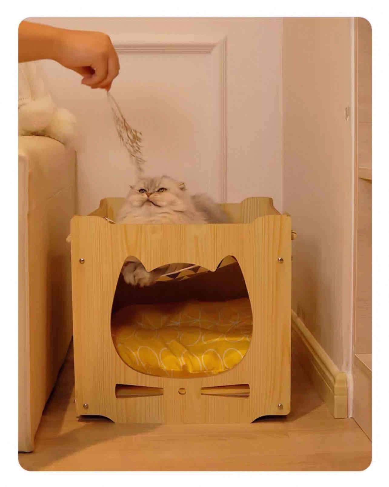 Casa doble nivel para gatos - miniatura 4