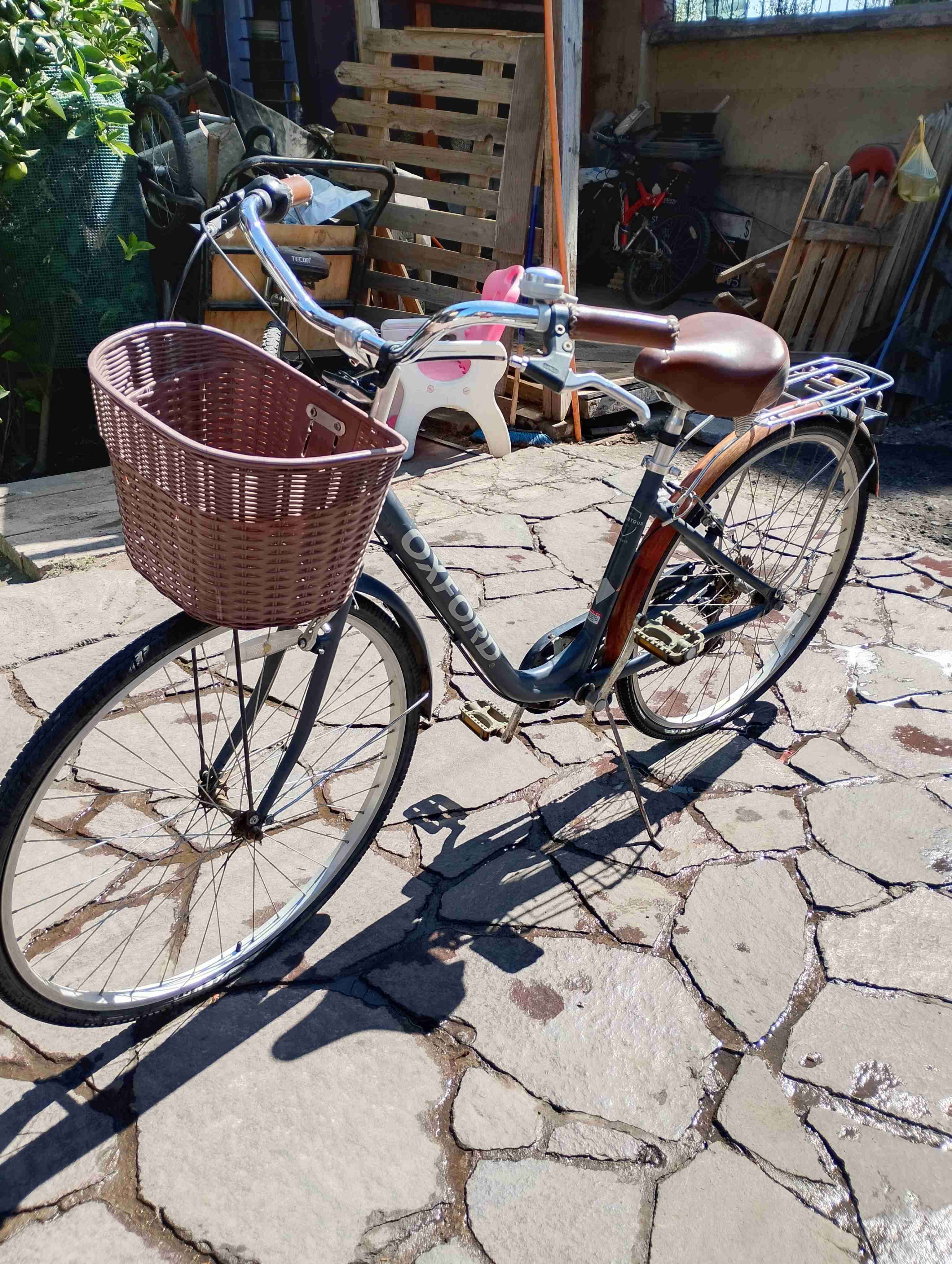 Bicicleta vintage con canasto - 4