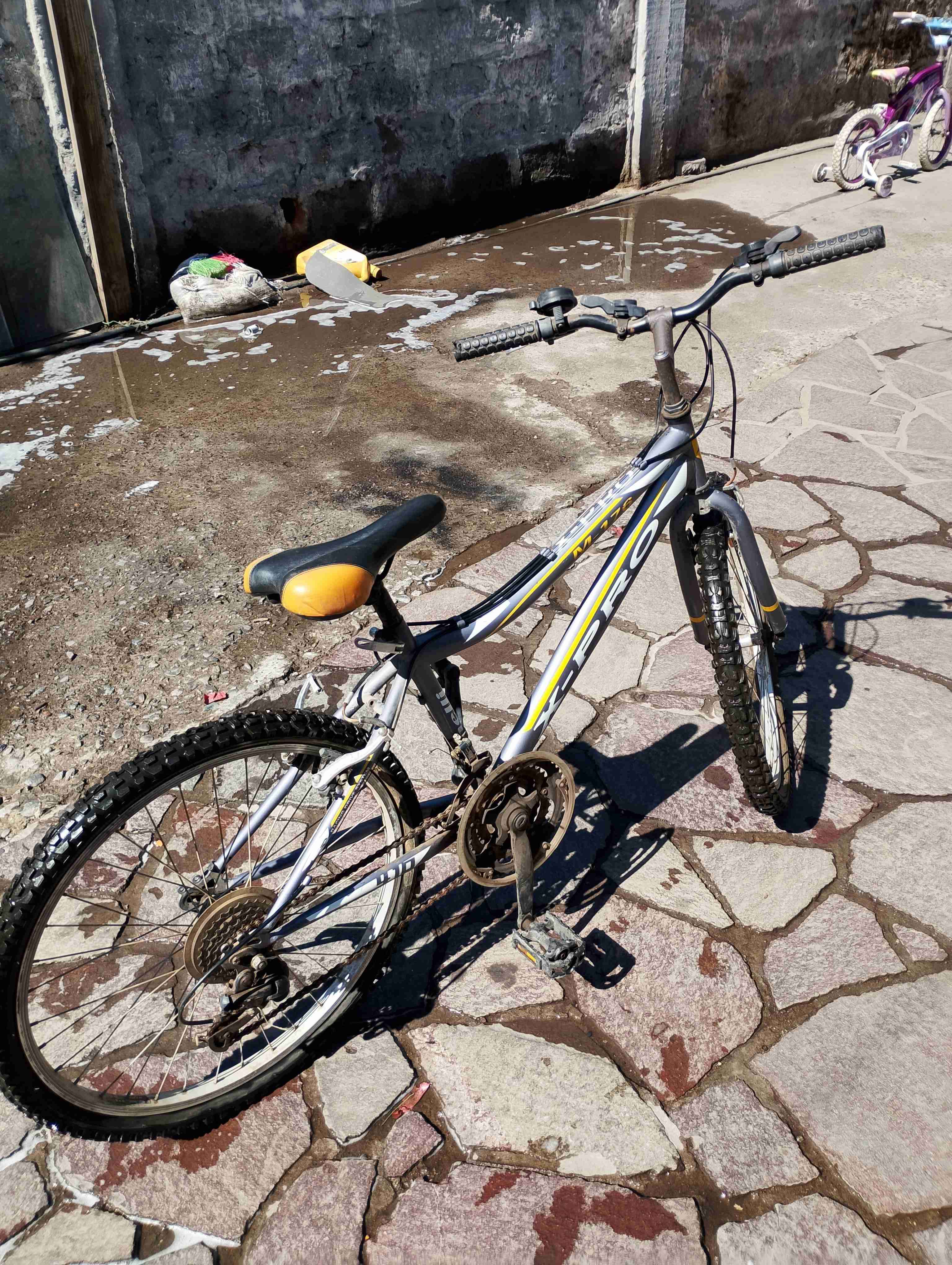 Bicicleta vintage con canasto - 5